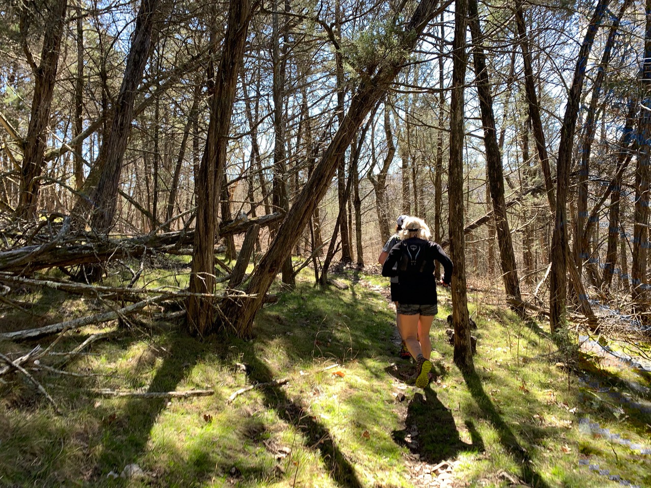 Susan Donnelly’s friends run beautiful trails at Three Days of Syllamo race.