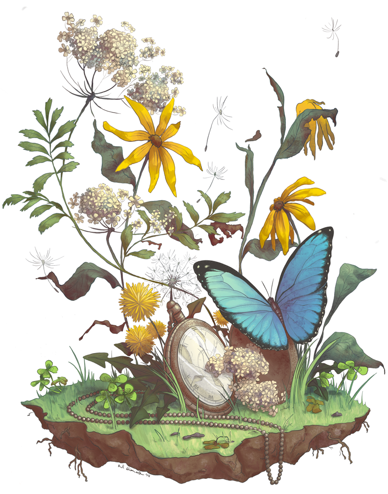 Botanical-Illustration.png