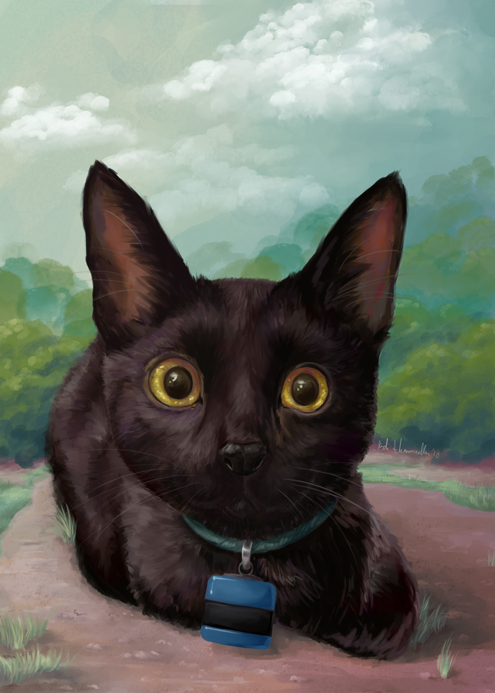 Klaus-Portrait.png