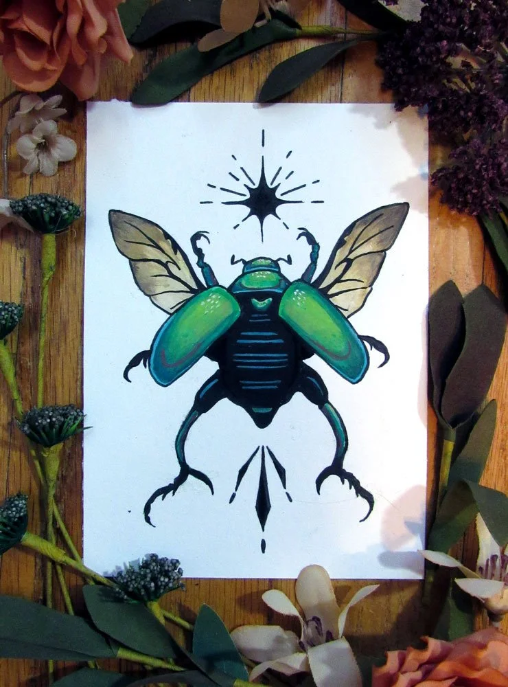 shining-leaf-beetle.jpg