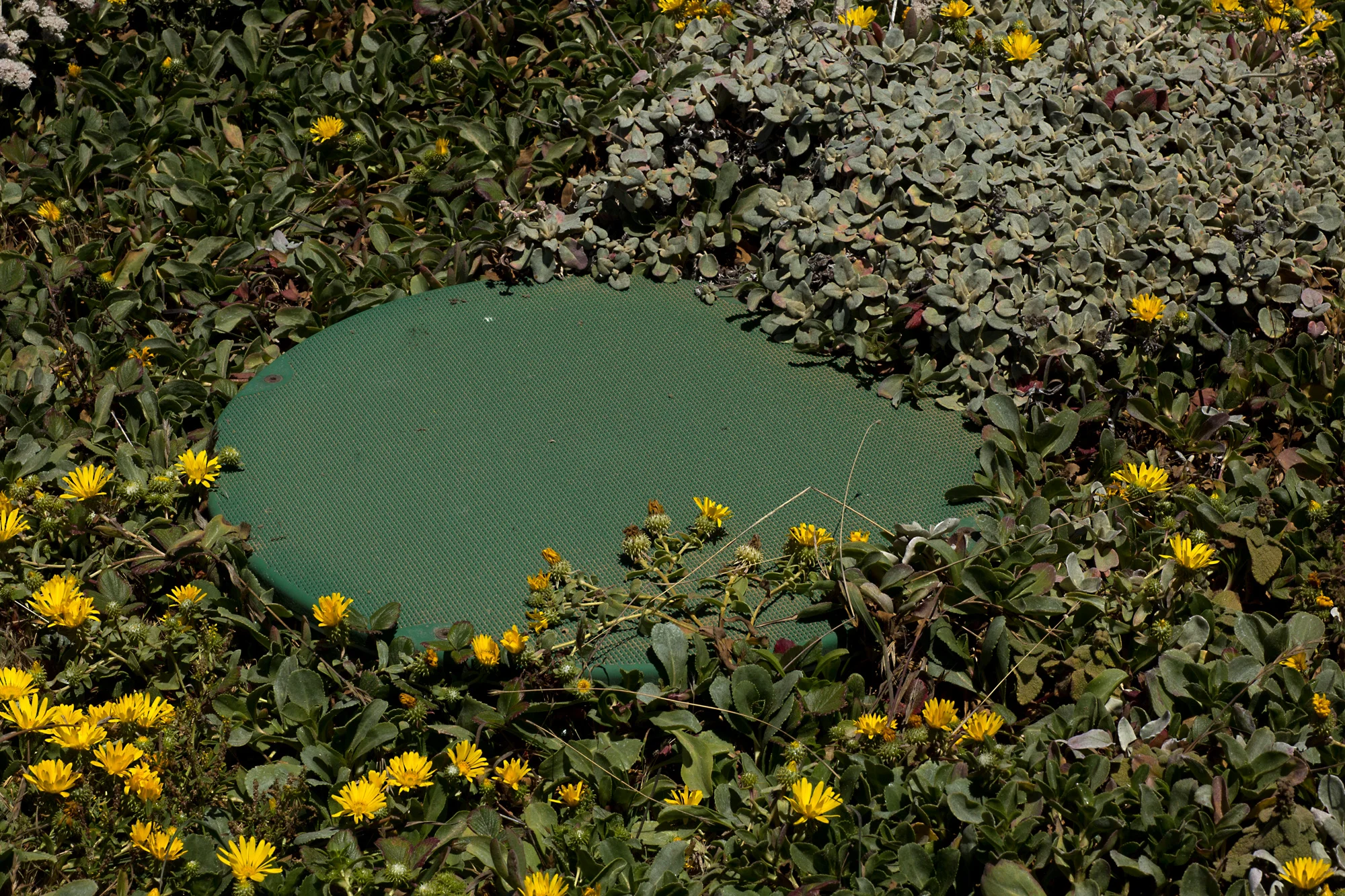 Man Hole , 2018