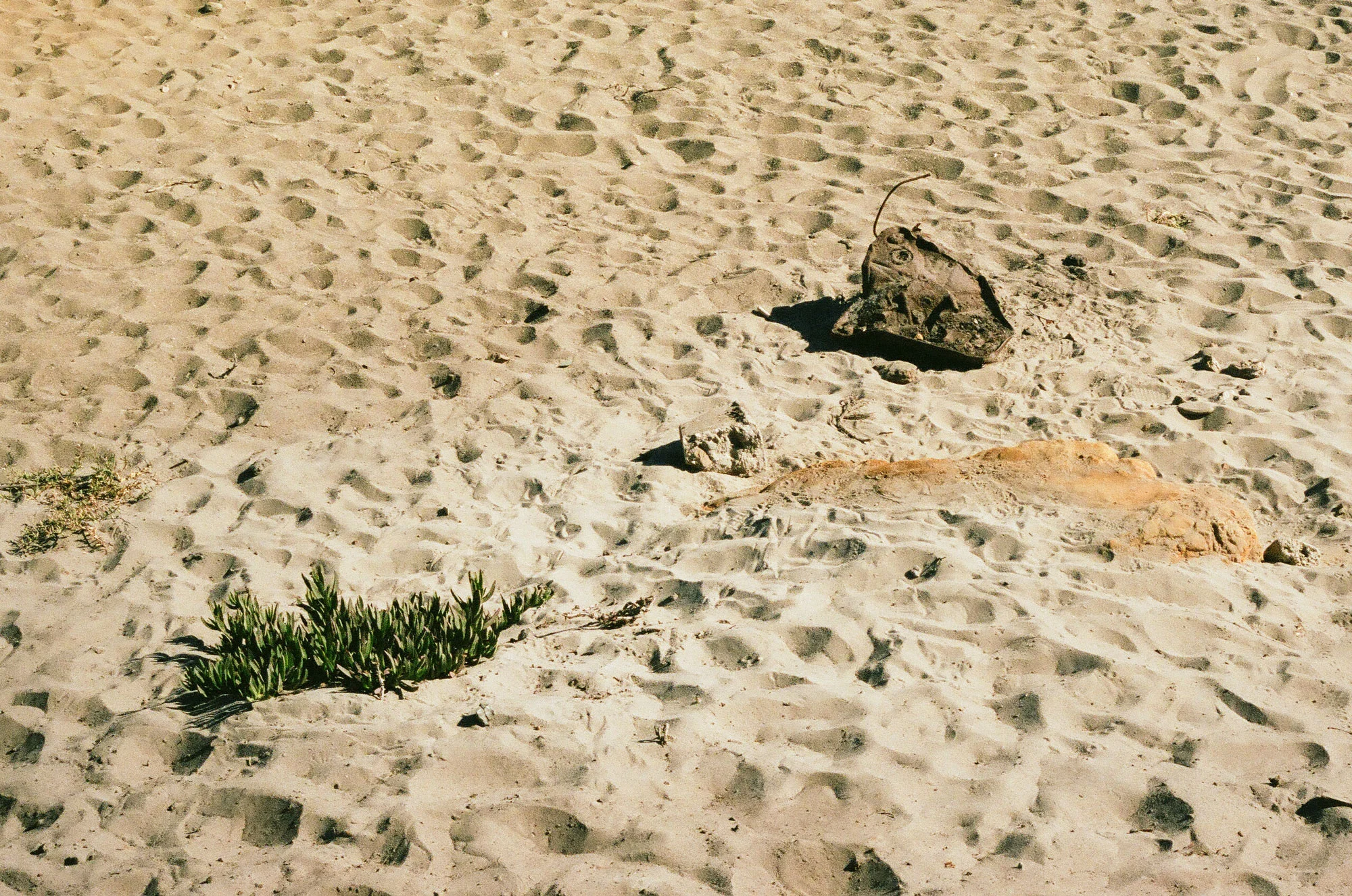 Beach Rust , 2018