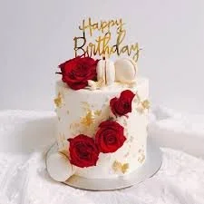Fefe's Birthday Dream