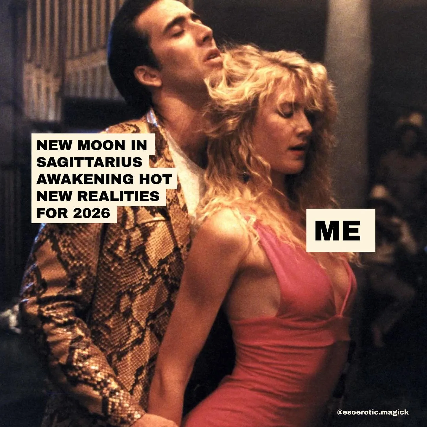 Happy New Moon in Sagittarius, witches⁠✨🌑⁠⁠♐️⁠
⁠
According to our in-house astrologer @tara.valkyrie:⁠
⁠
&ldquo;December&rsquo;s Jupiter-ruled Sagittarius New Moon marks both a closing chapter as well as a ripe beginning. We are reminded first that 