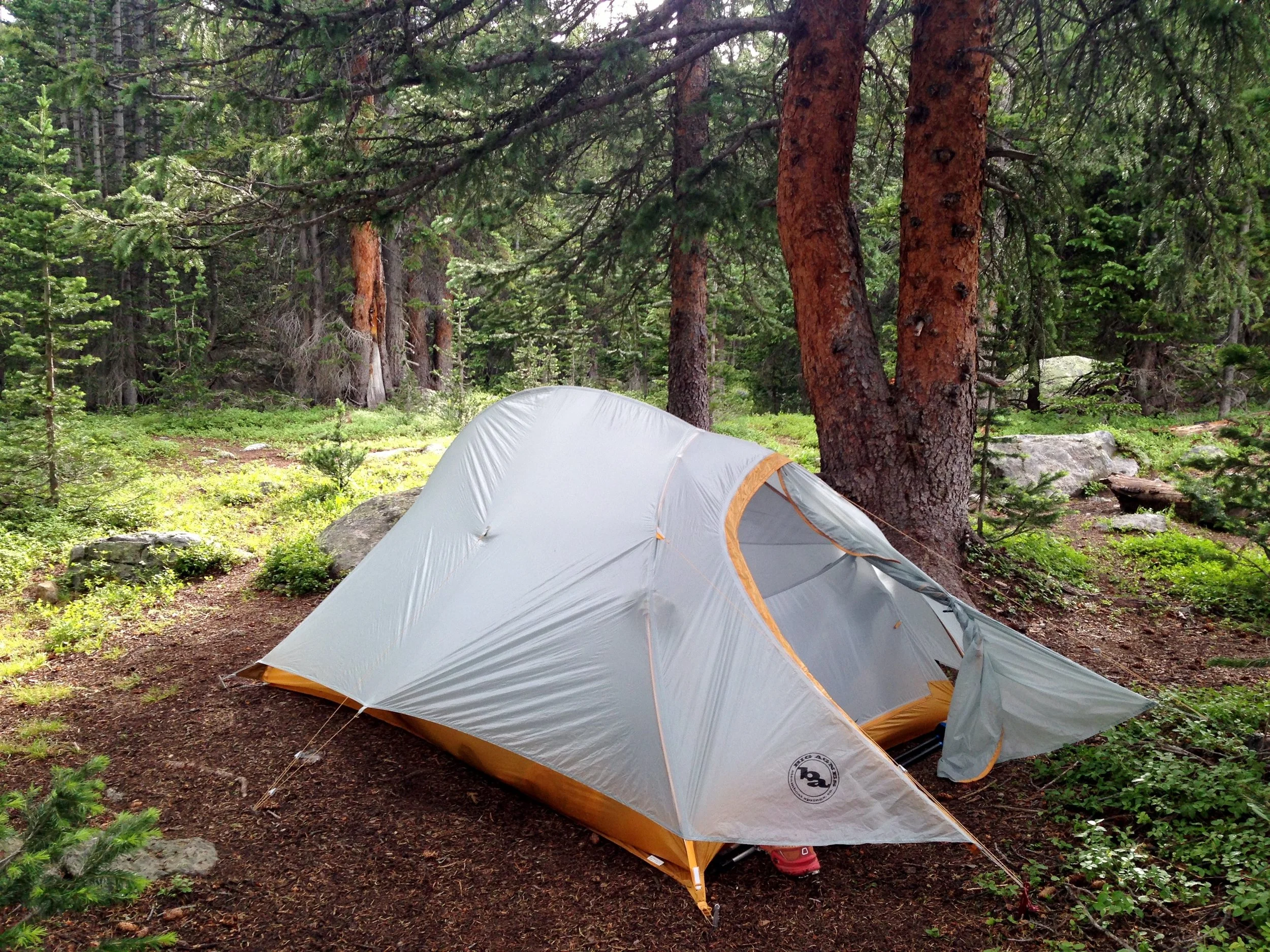 Day 14: I left my campsite near Porcupine Creek (above), hiked past the Timberline Lake Trailhead and into the Mount Massive Wilderness Area. I camped off a side trail so I could make an attempt at Mount Massive the next day. Daily mileage: 16.1 . Total miles: 166.7.