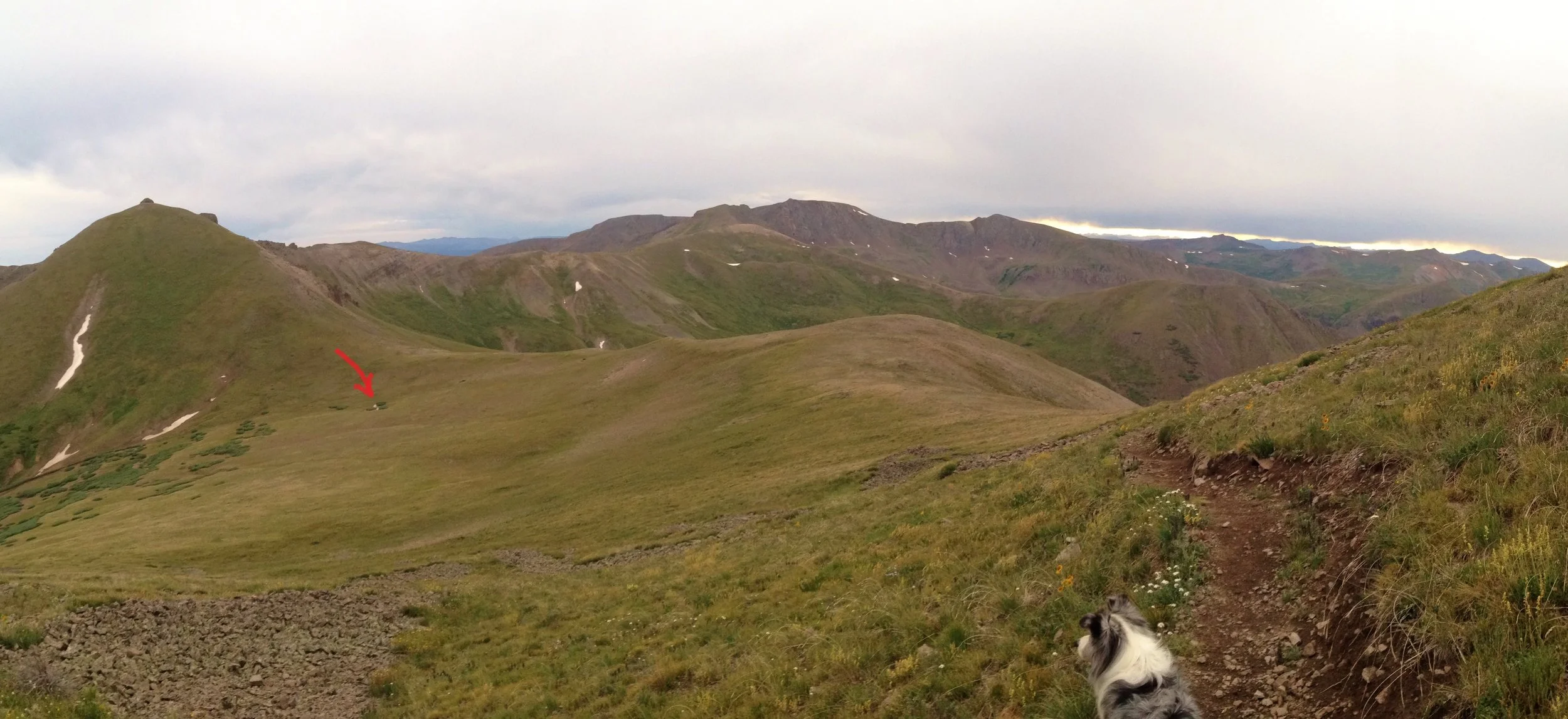 Day 25: After weathering an afternoon hail storm, I set up camp and took a two-mile side trip to summit San Luis Peak (14,014’) with some fellow hikers, including Nora the dog. You can barely see my tent in the willows (where the red arrow is pointing). Daily mileage: 14.7. Total miles: 353.2.