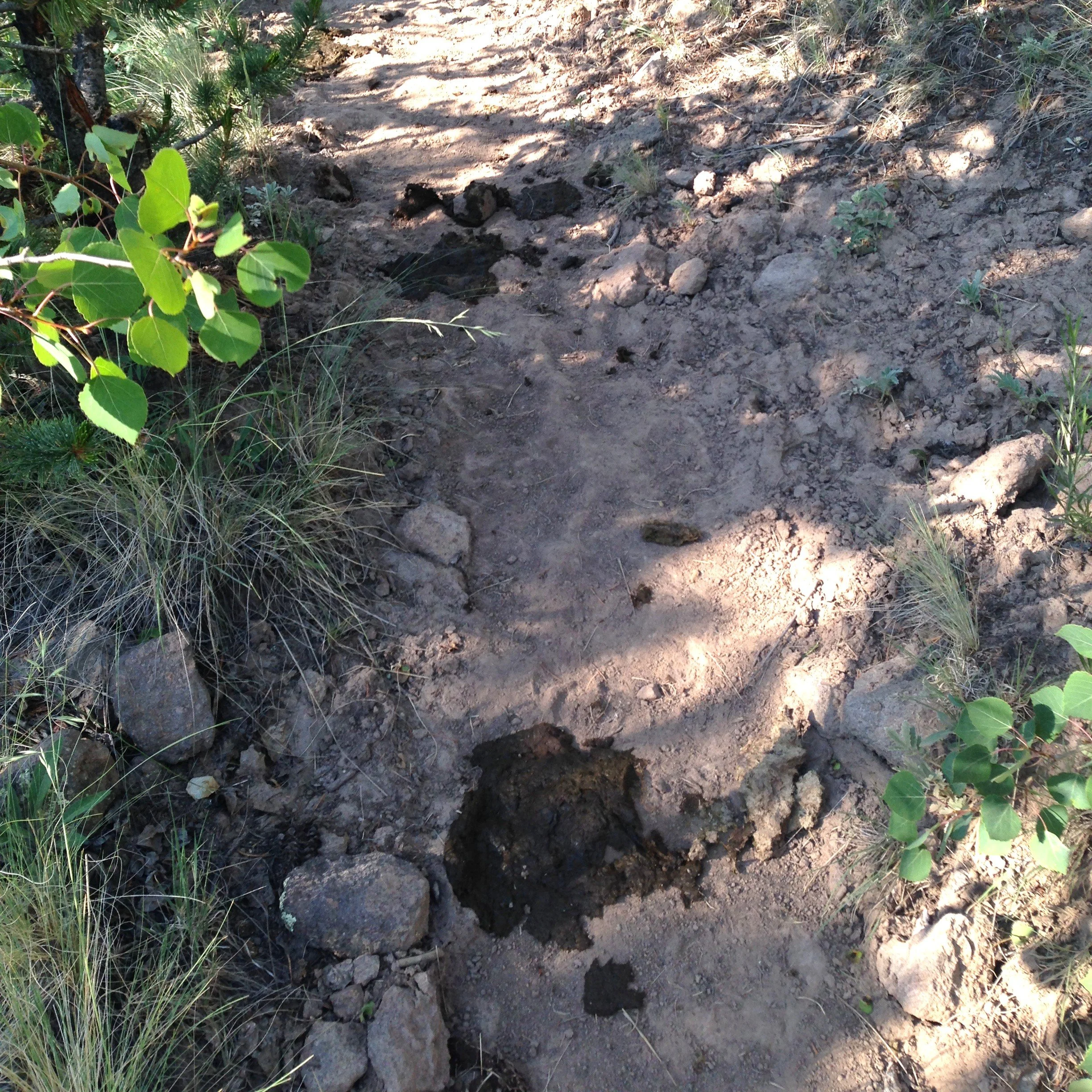 The Gift of a Shitty Review