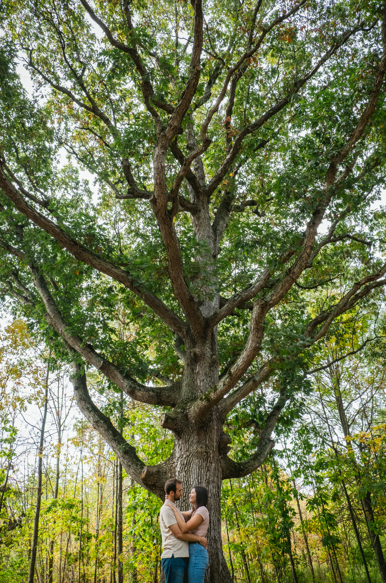 Screenshot 2025-12-23 at 12.07.38 PM.png