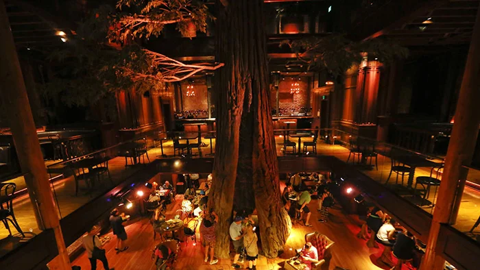 LA Canvas Magazine - 'Clifton’s Cafeteria is Back to Blow Your Mind'