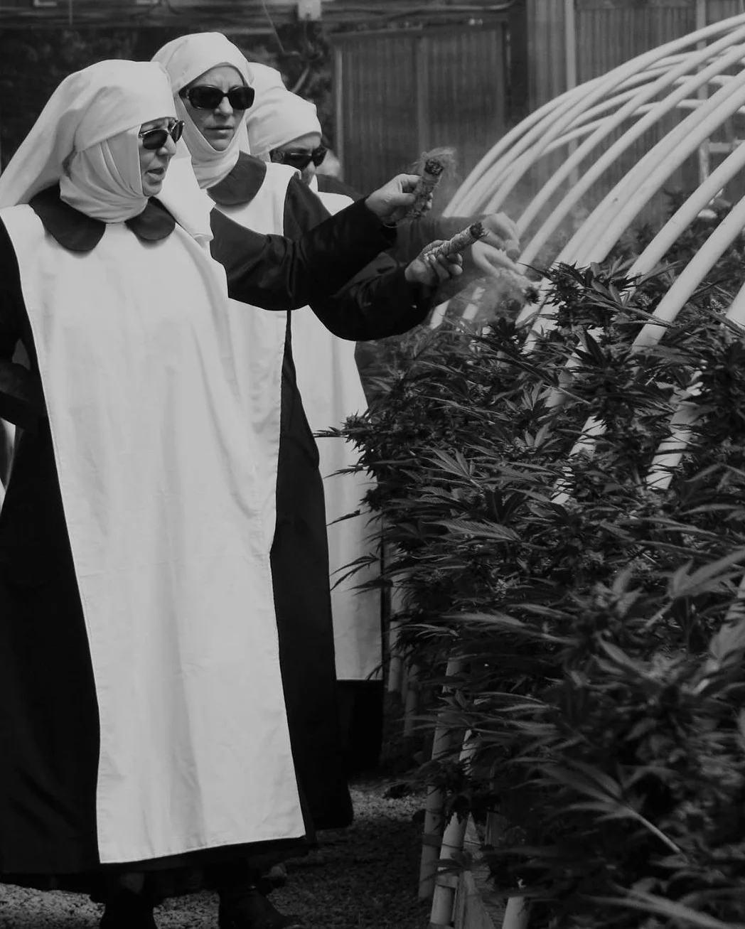 Meet the Cannabis-Growing Nuns of San Joaquin Valley