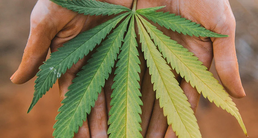 10 Benefits of CBD