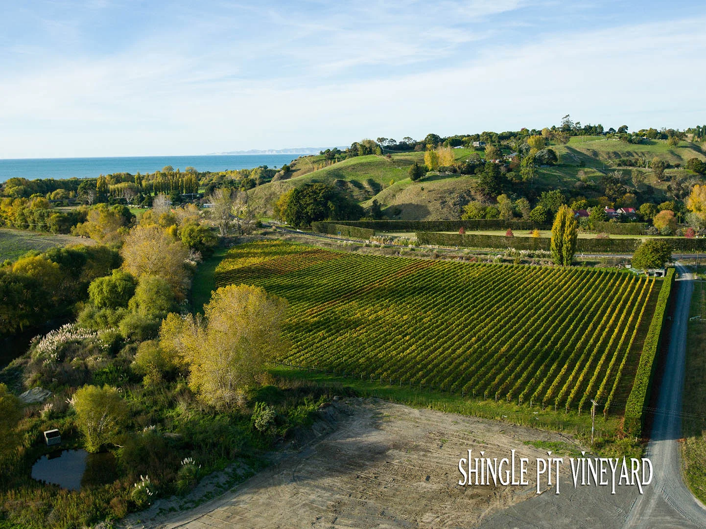 Crab Farm Winery Shingle Pit Vineyard