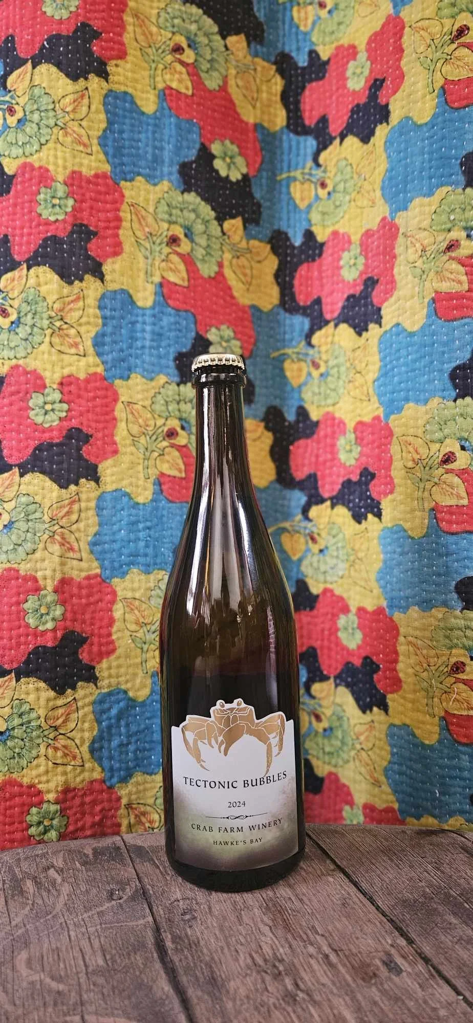 456254185_1193383758668310_6140215919203849020_n (2).jpg