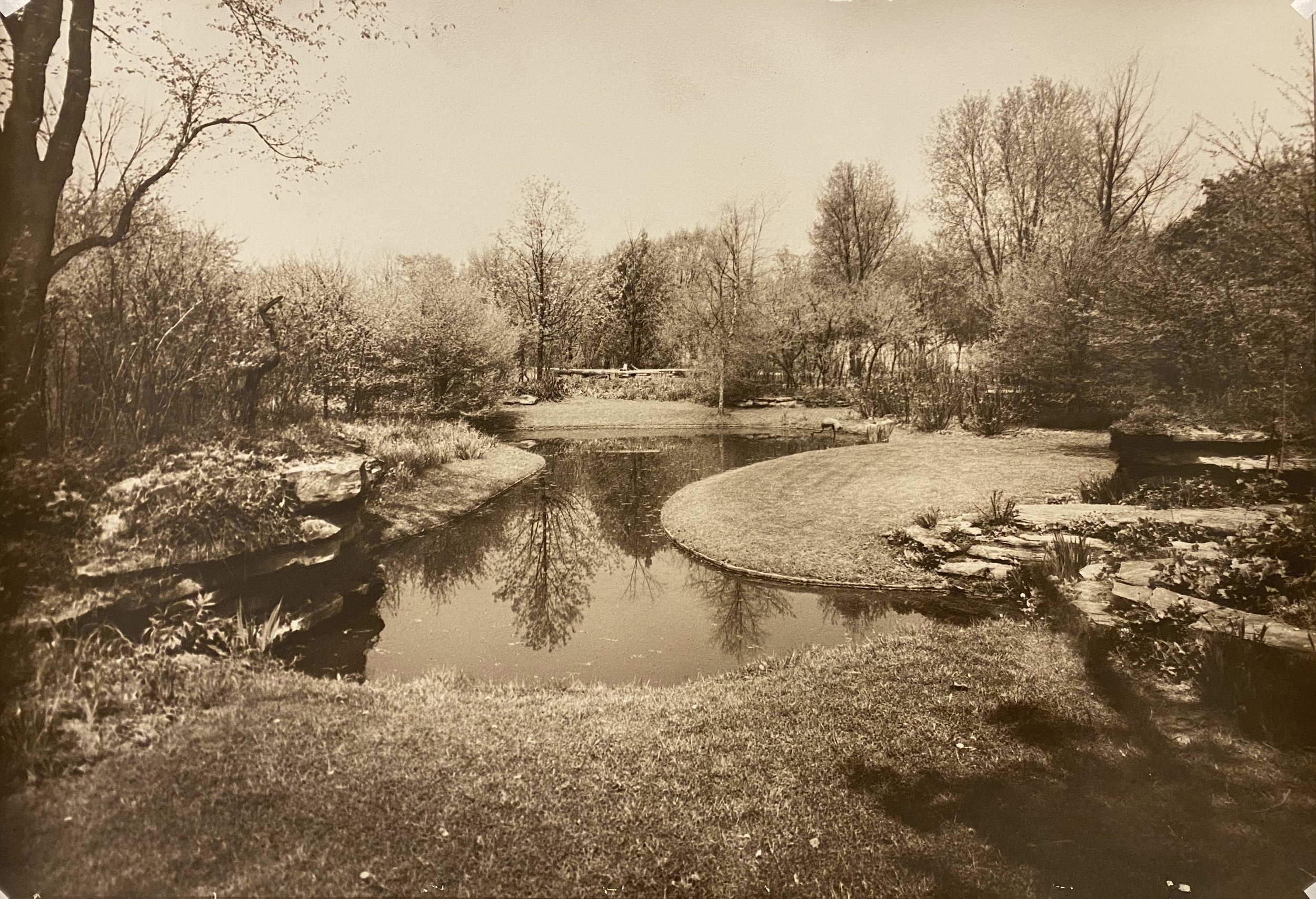 Pond with concrete edge(1927).jpeg