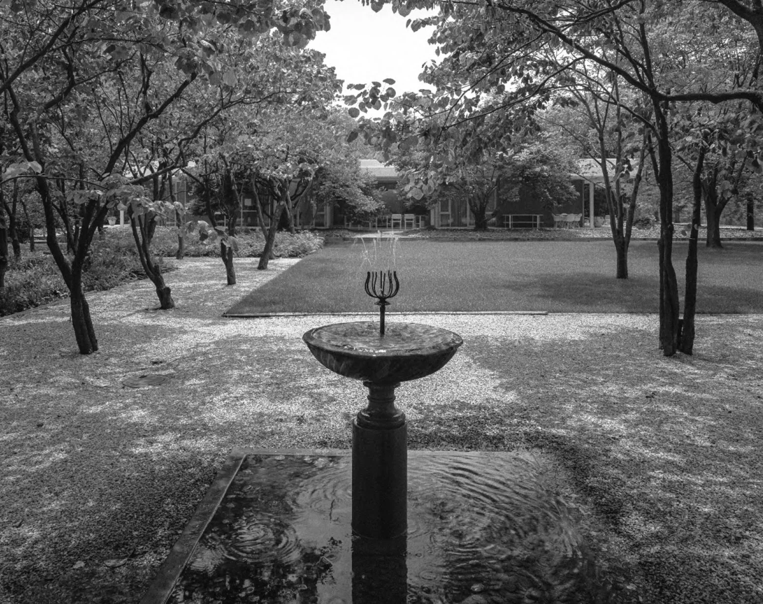 Alan Ward 1976 Redbud Grove Fountain.jpg