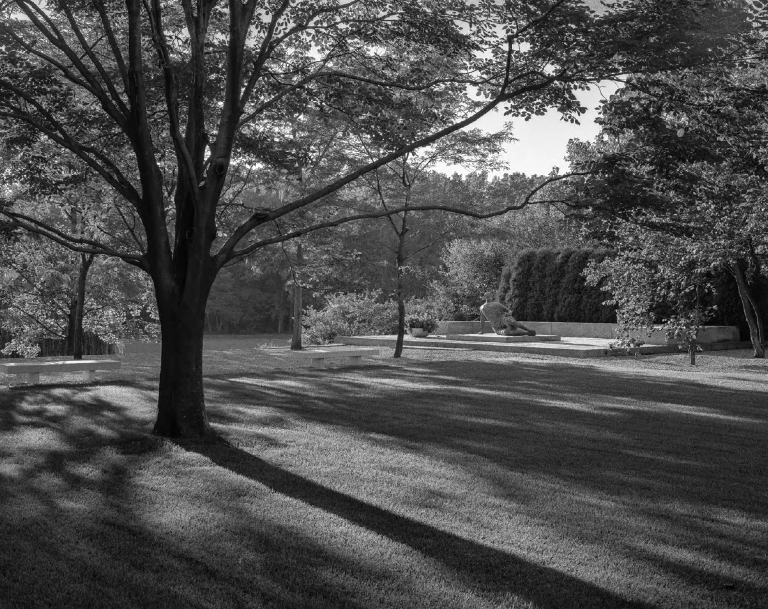 Alan Ward 1978 Yellowwood from Dining Terrace.jpg