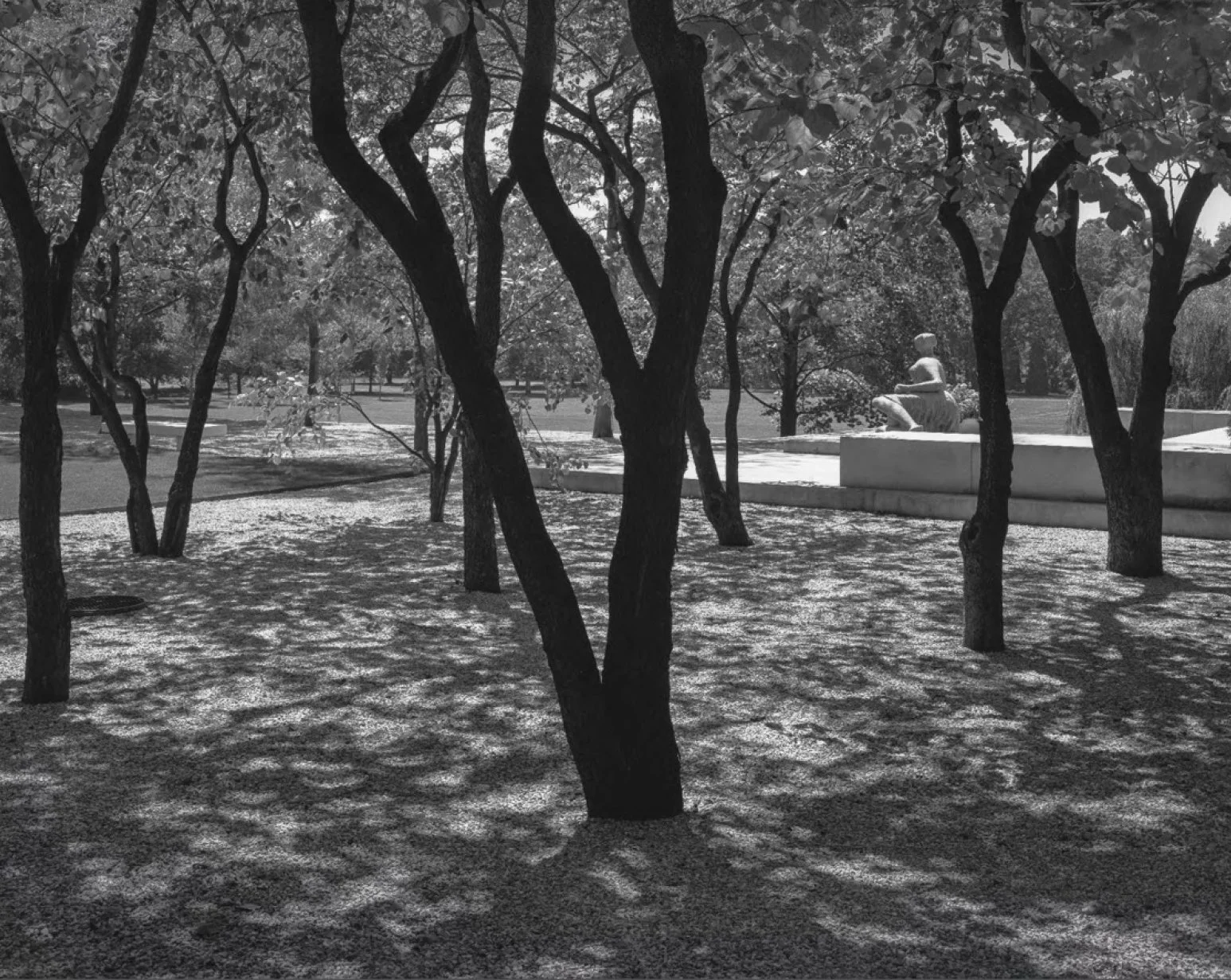 Alan Ward 1978 Original Redbud.jpg