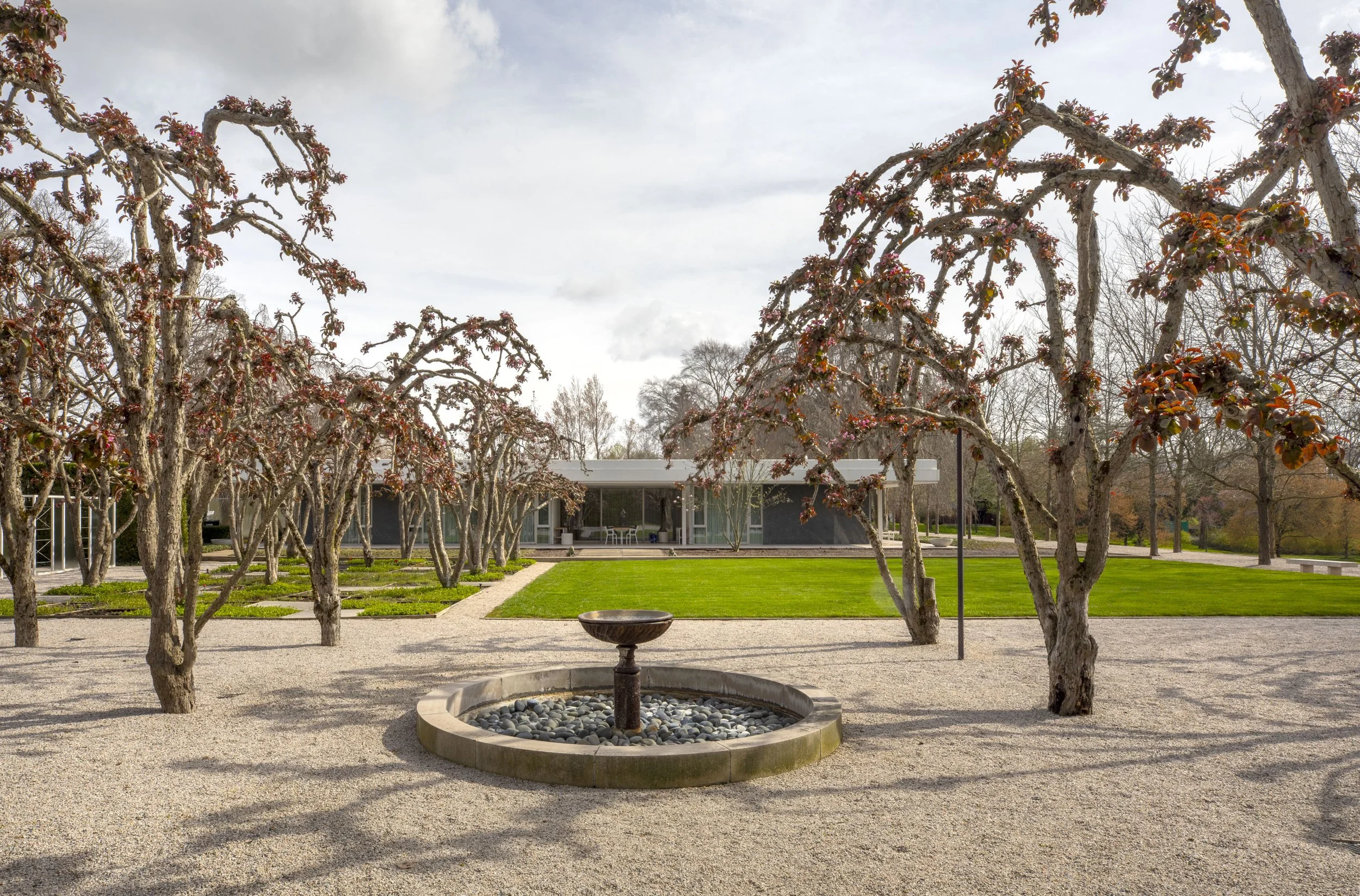 MHG North Garden - Hadley Fruits 2.jpg