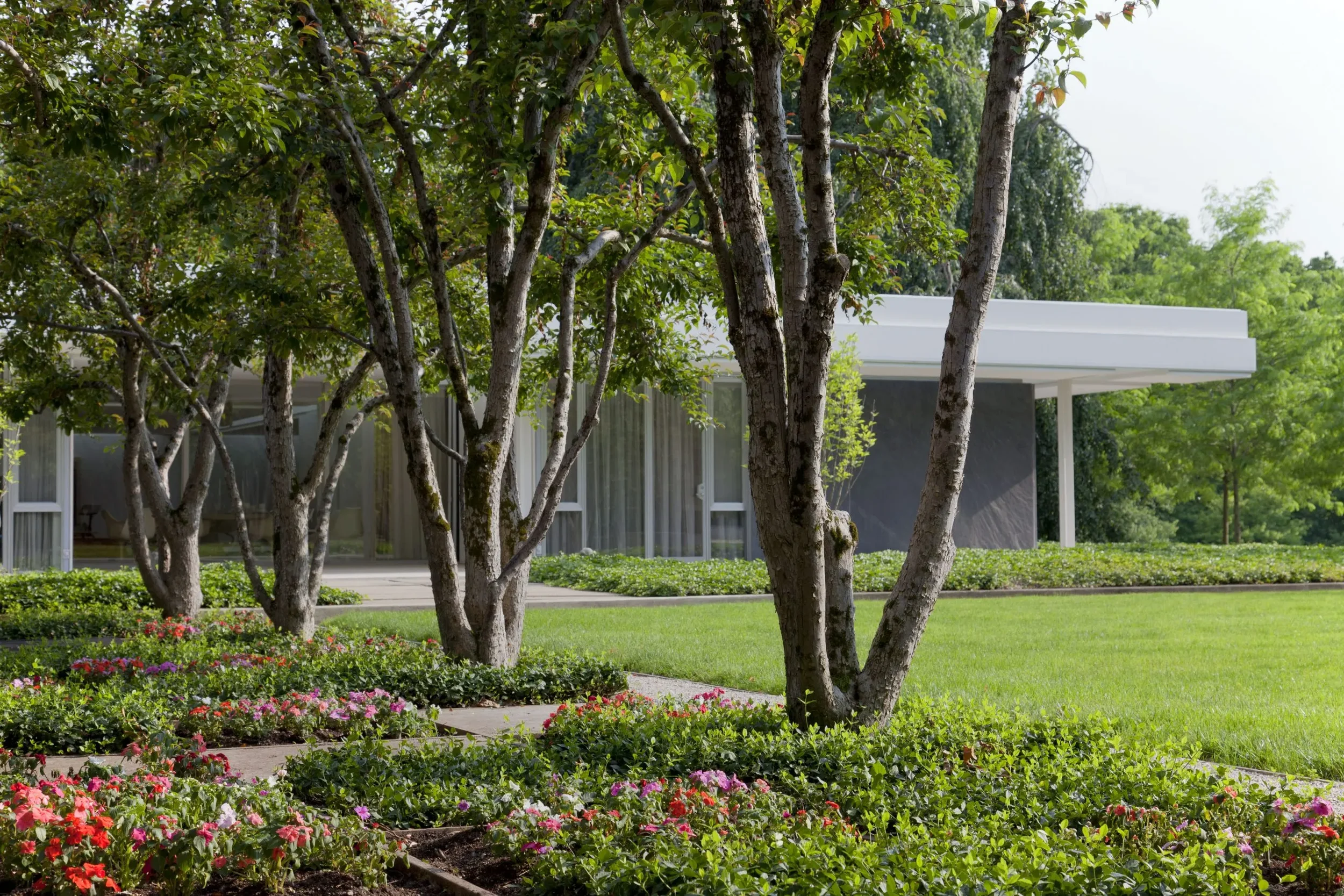 MHG North Garden - Hadley Fruits 3.webp