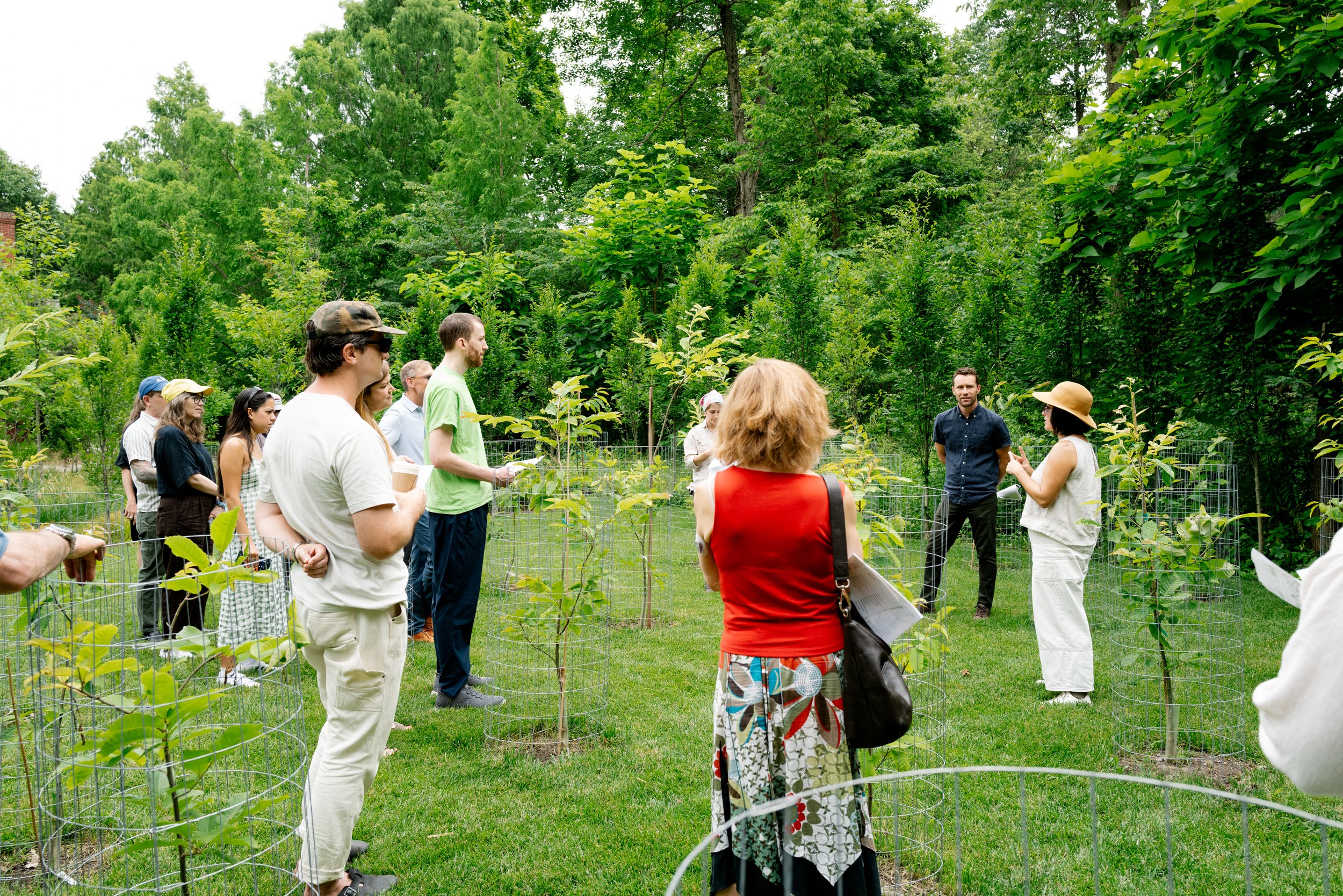 APD_20260604_COMPANION_CoordinatesOfBelonging_GardenWalk03.jpg