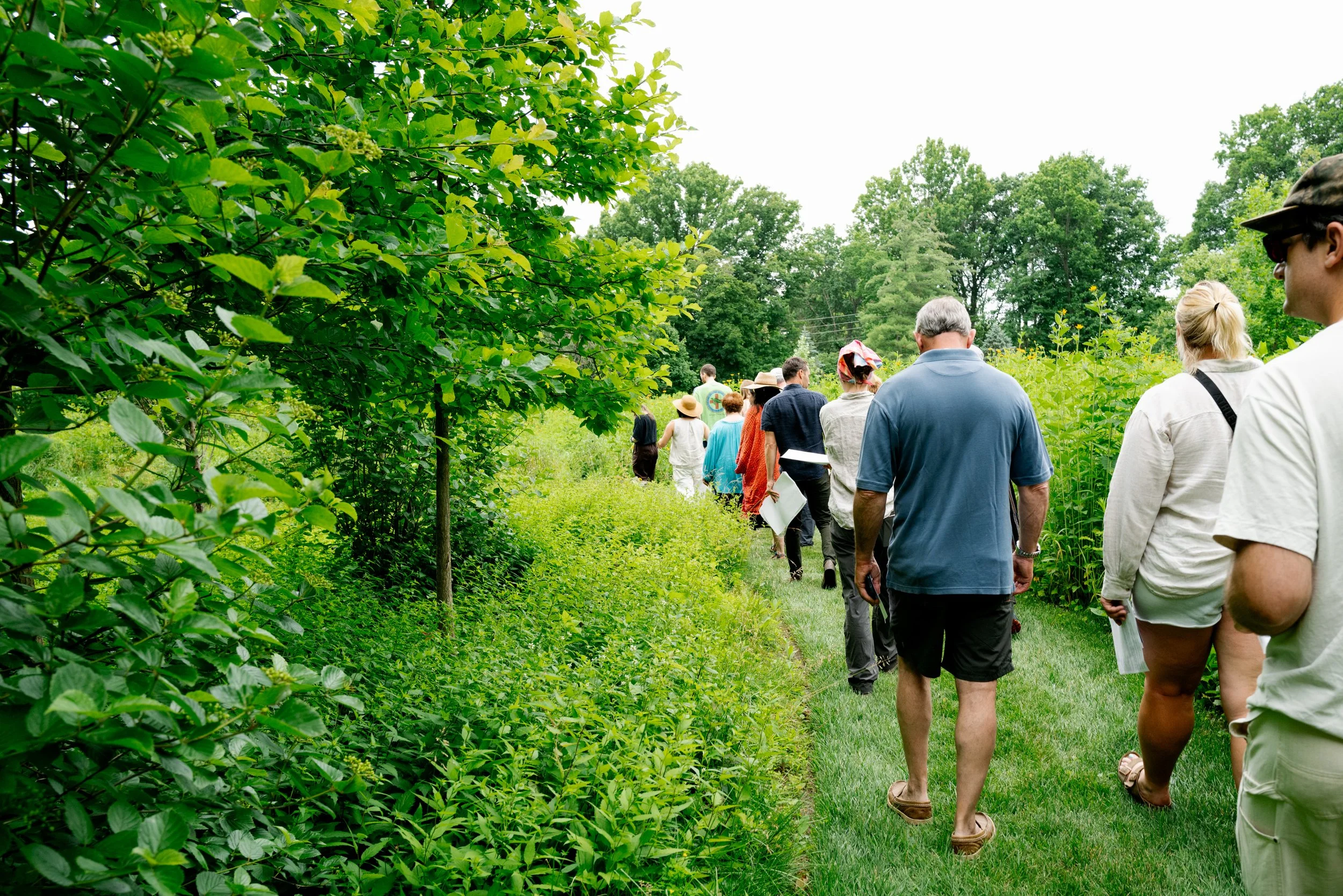 APD_20260604_COMPANION_CoordinatesOfBelonging_GardenWalk09.jpg