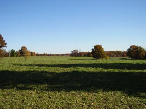 Field in Audrain County.jpg