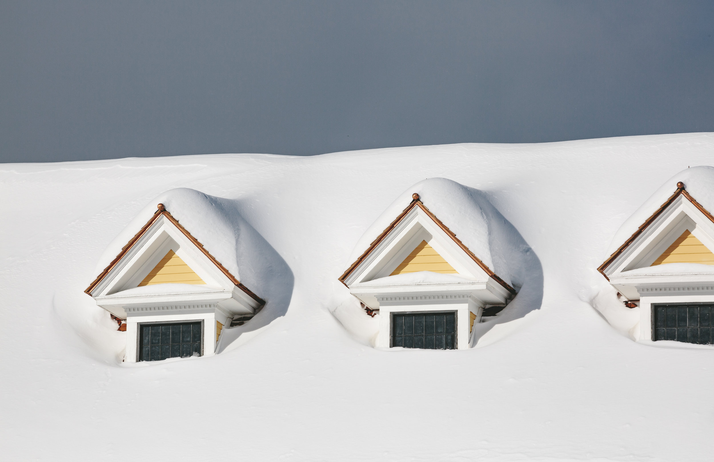 WinterYellowstone-Portfolio_edit19.jpg