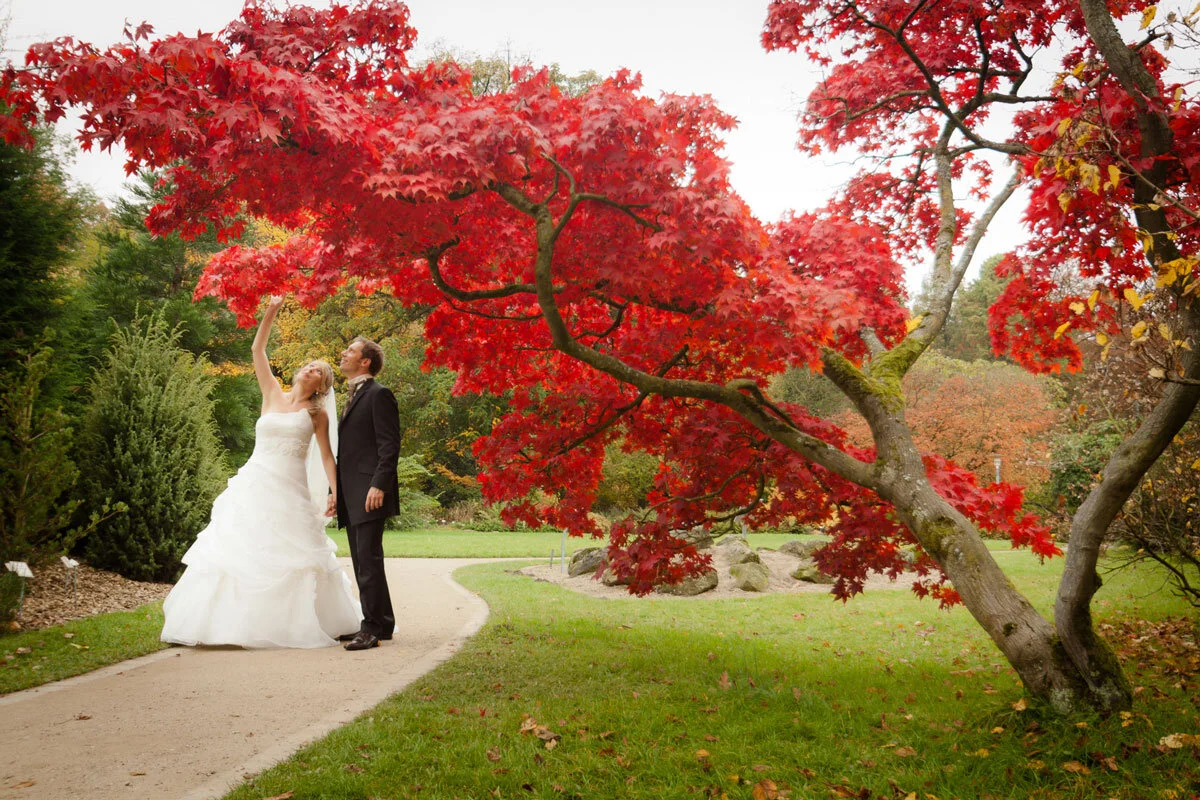 Hochzeit_Monika-Sven-1177.jpg