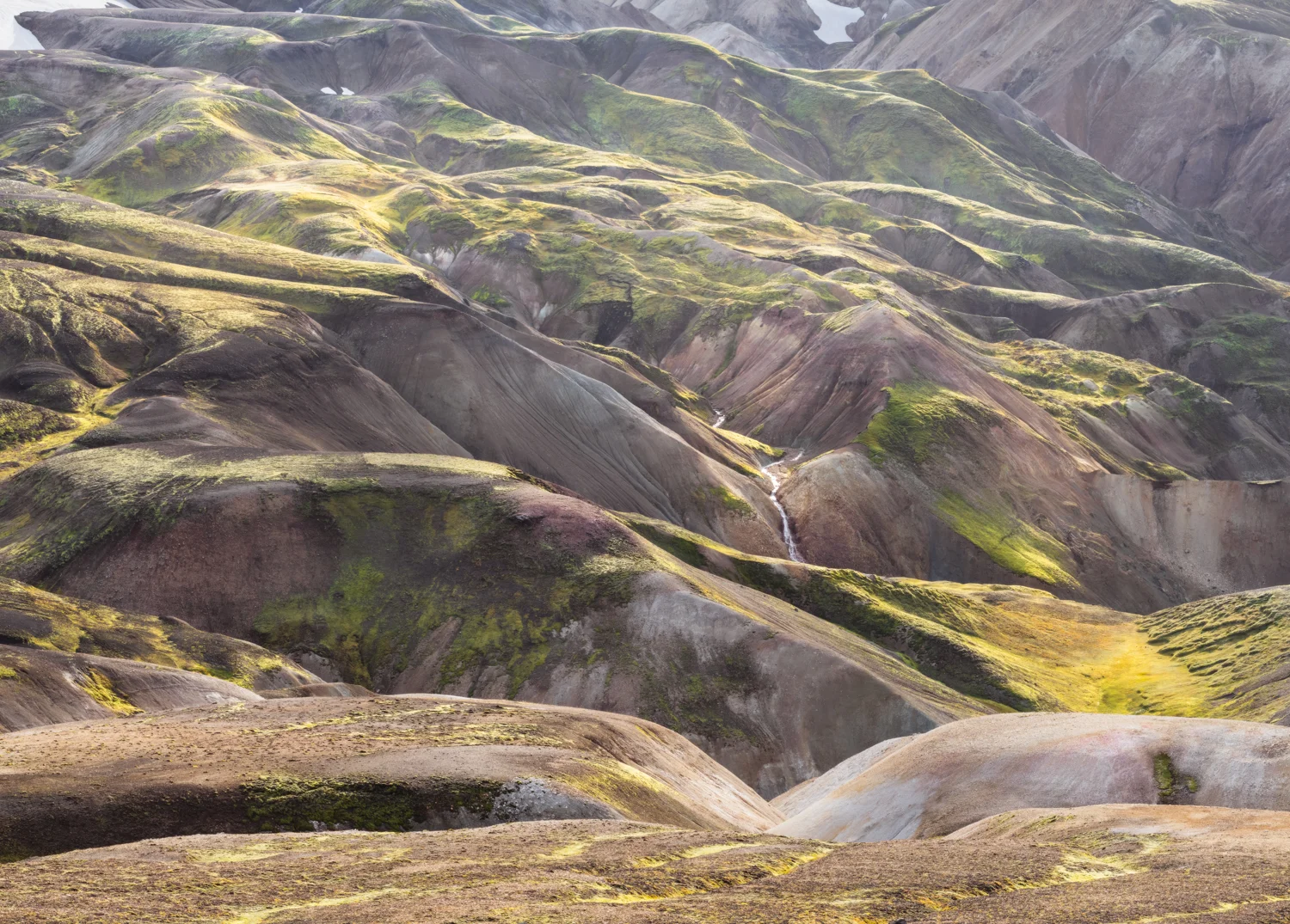 _IMG4610-Pano-V821.jpg