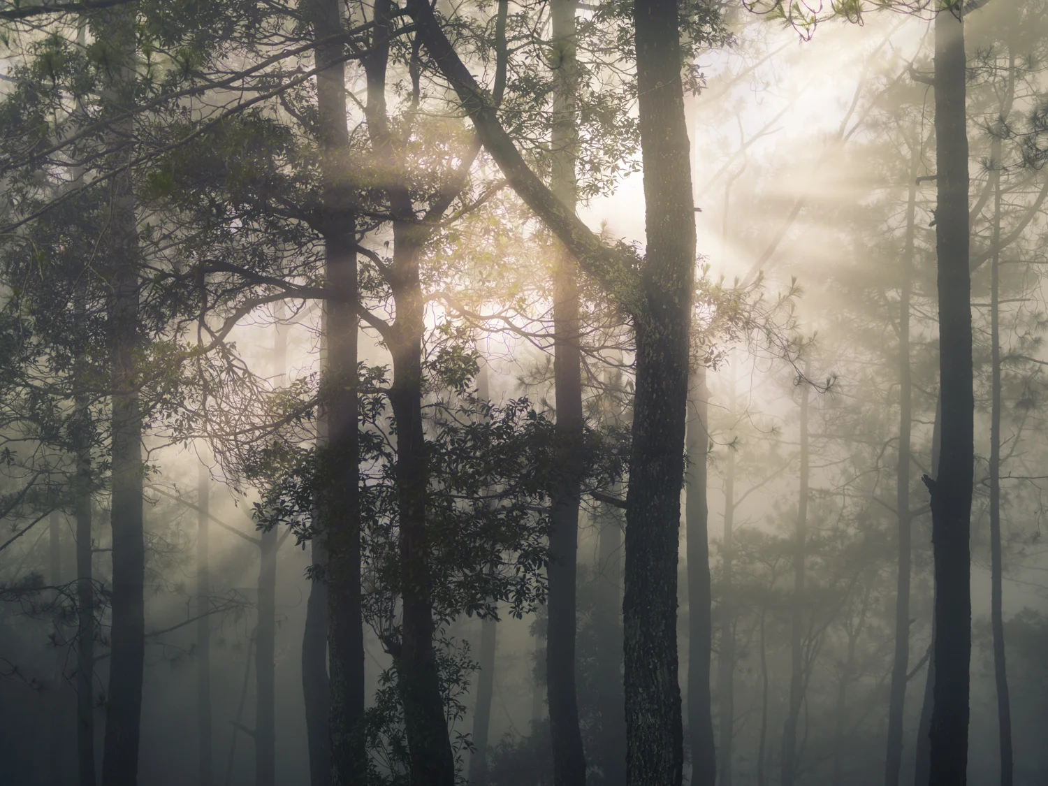 _IMG2861-Edit.jpg