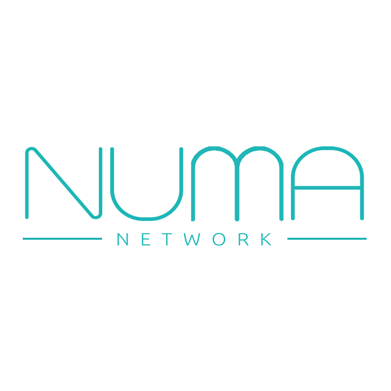Numa Model Management