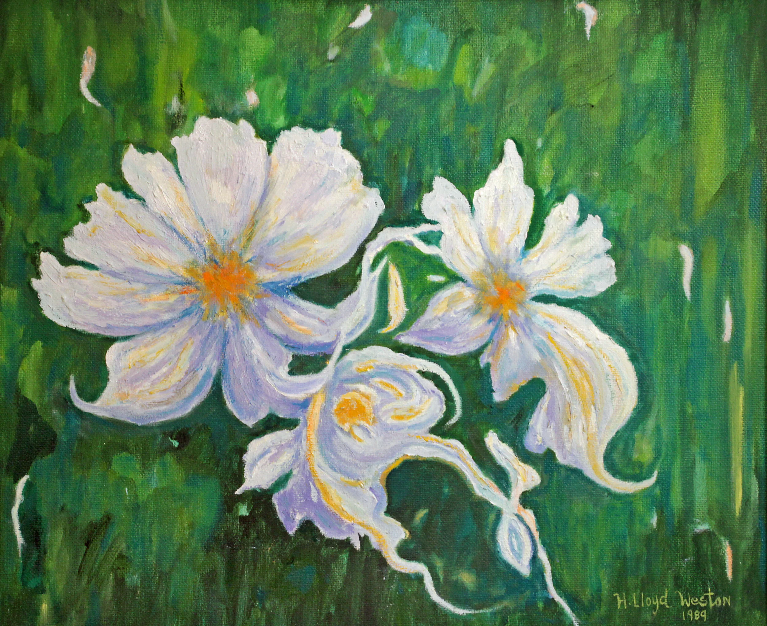 The White Orchid