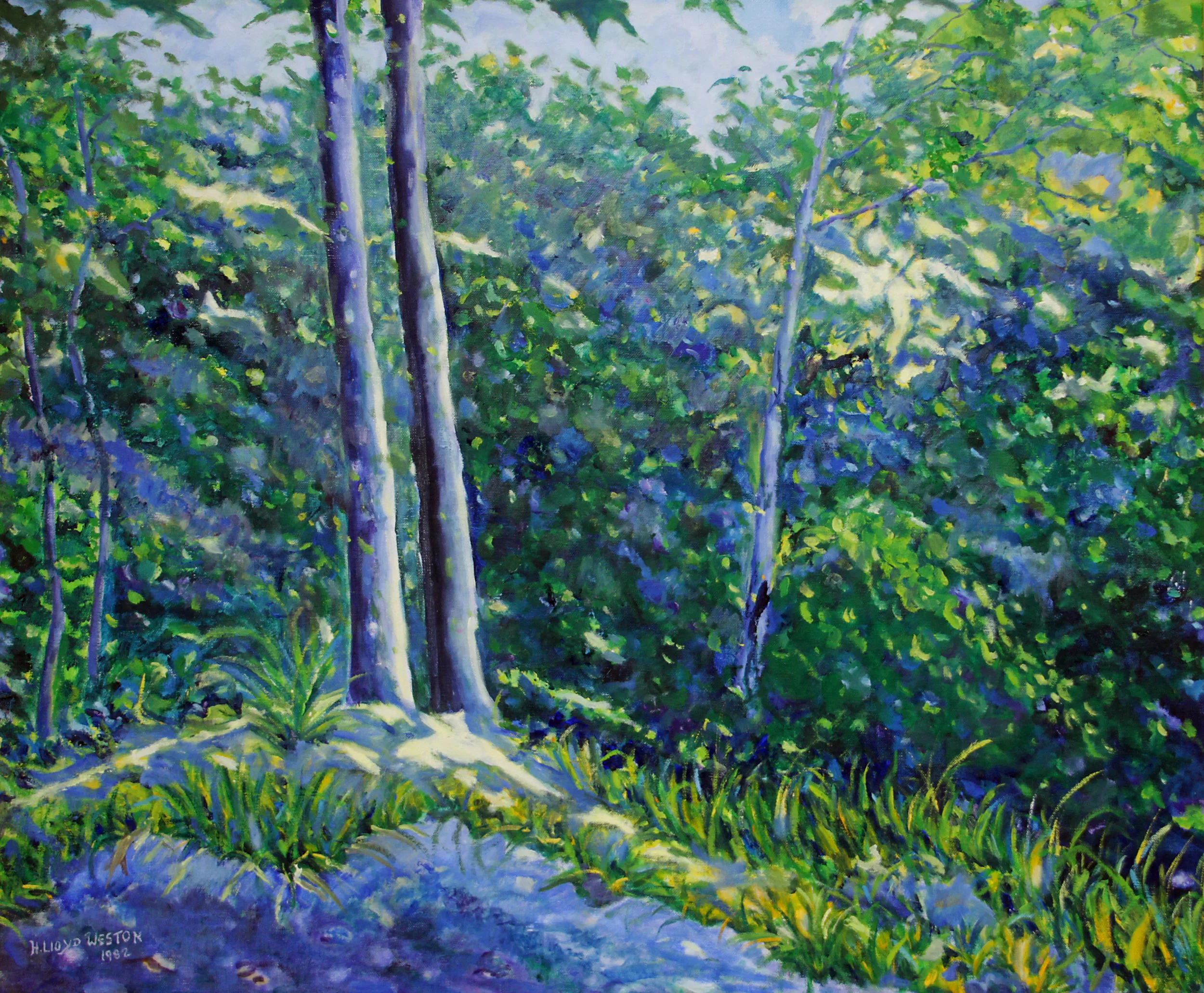 Trees at Stonecliff
