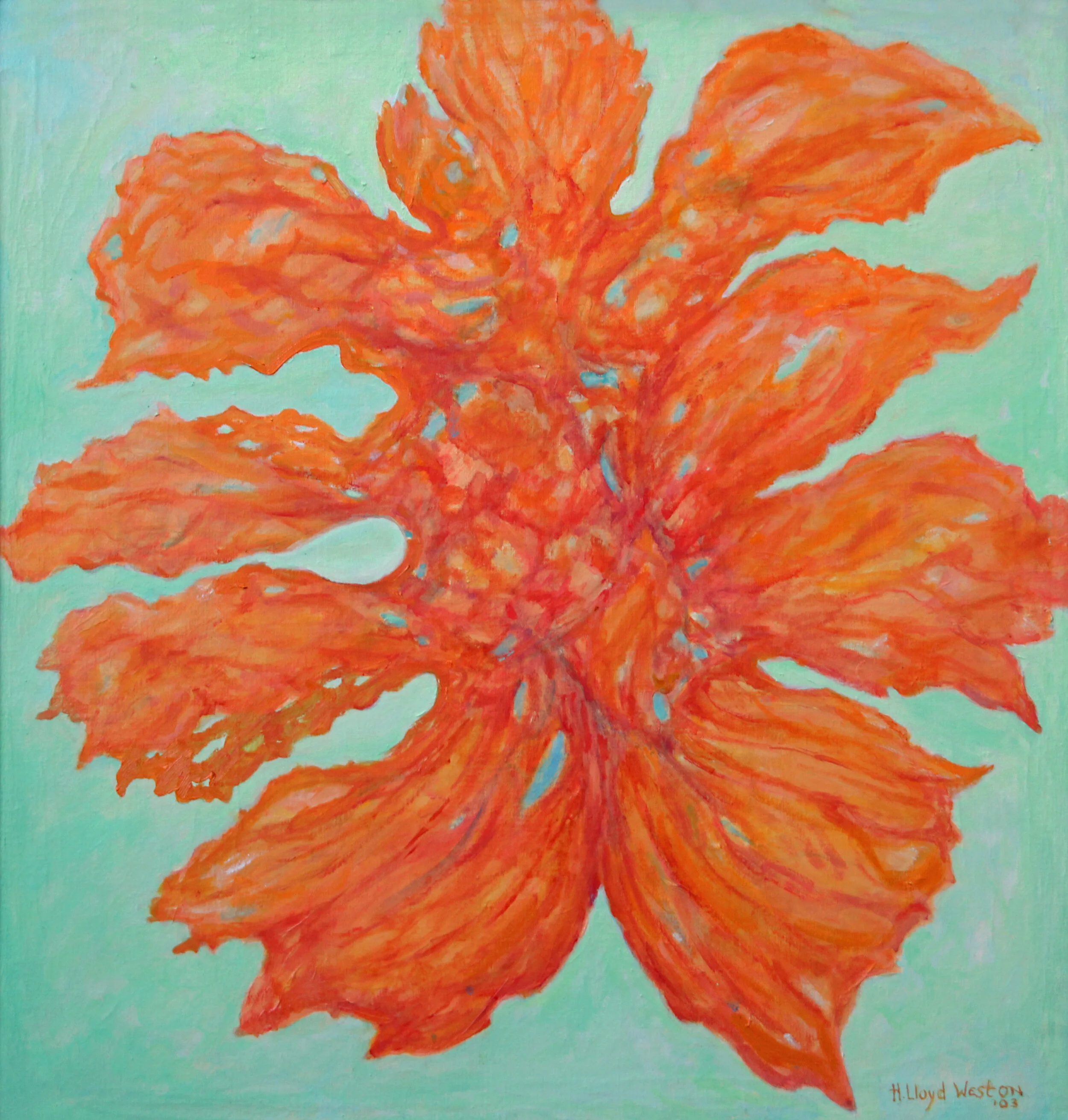 The Persimmon Orchid