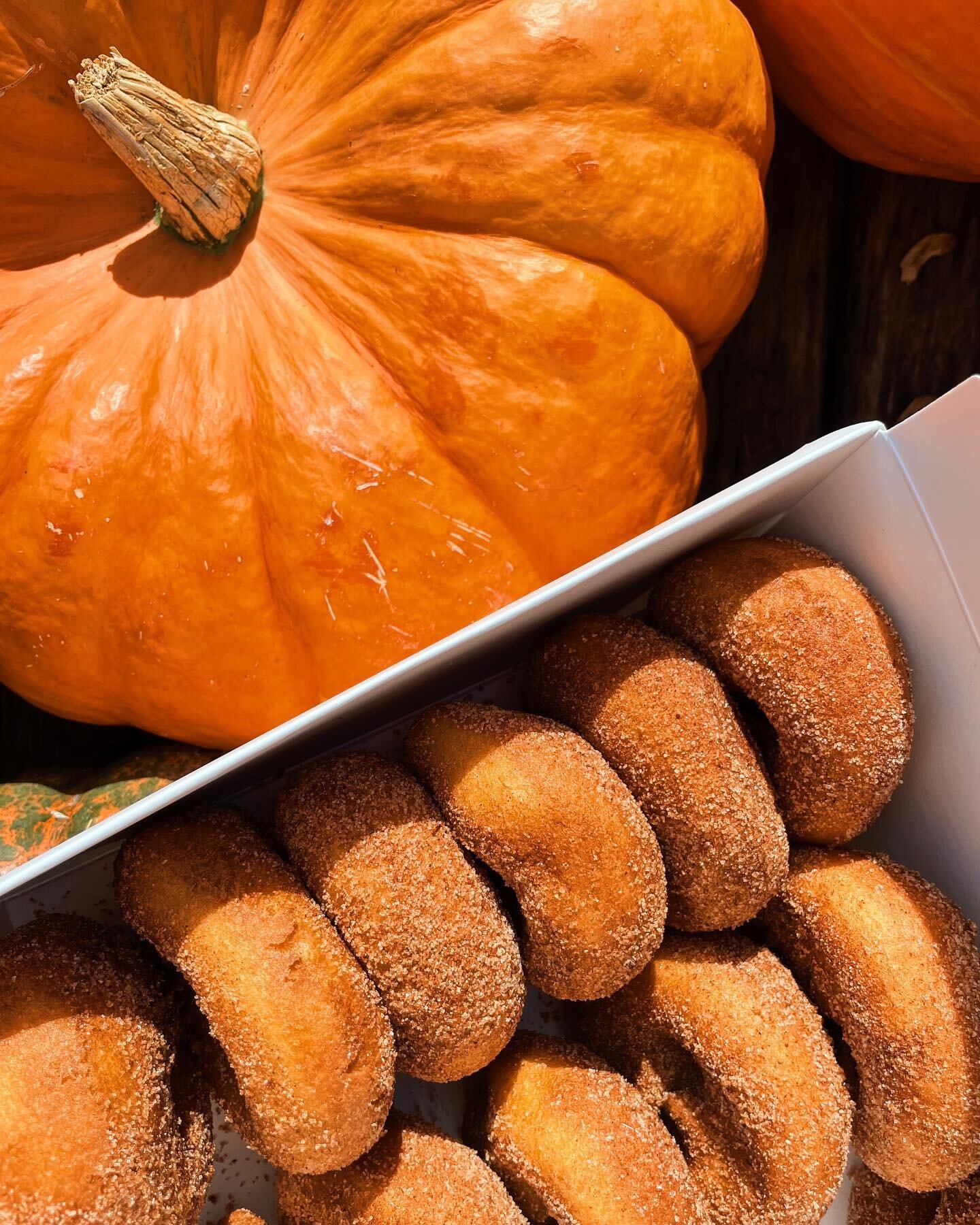 the basic apple picking content you didn&rsquo;t want, but make it about the apple cider donuts you actually *need*
🍎
grateful for this tradition going six years strong + the people who make it one of the coziest days of the year. if you haven&rsquo