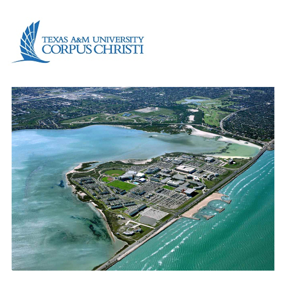2020 Texas A&M-Corpus Christi College Fair by Texas A&M University-Corpus  Christi - Issuu