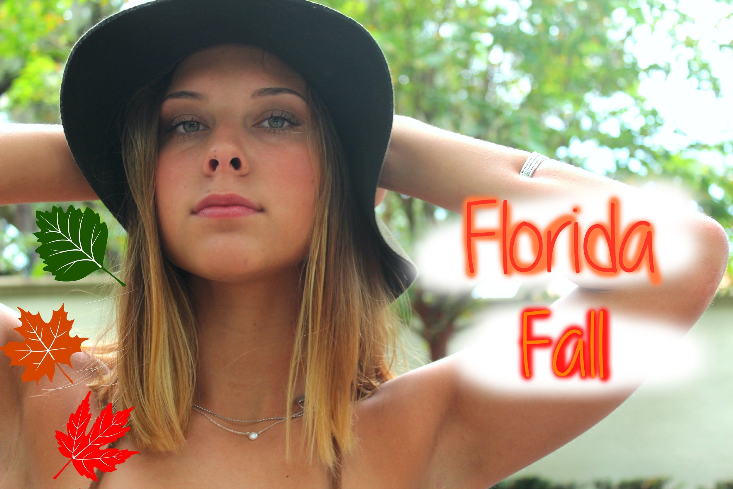 florida-fall.jpg