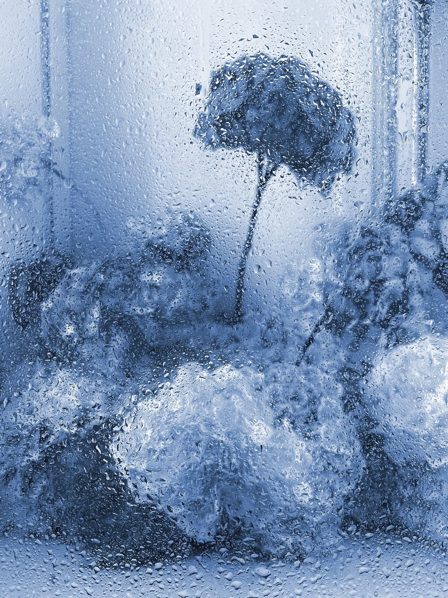 Sharp chaos, soft focus - a new visual language for FBMJ across marks, materials + stationary.