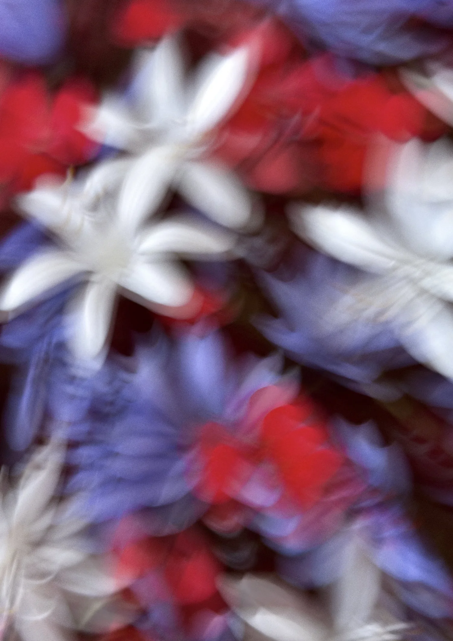 Flowers By Brett Matthew John