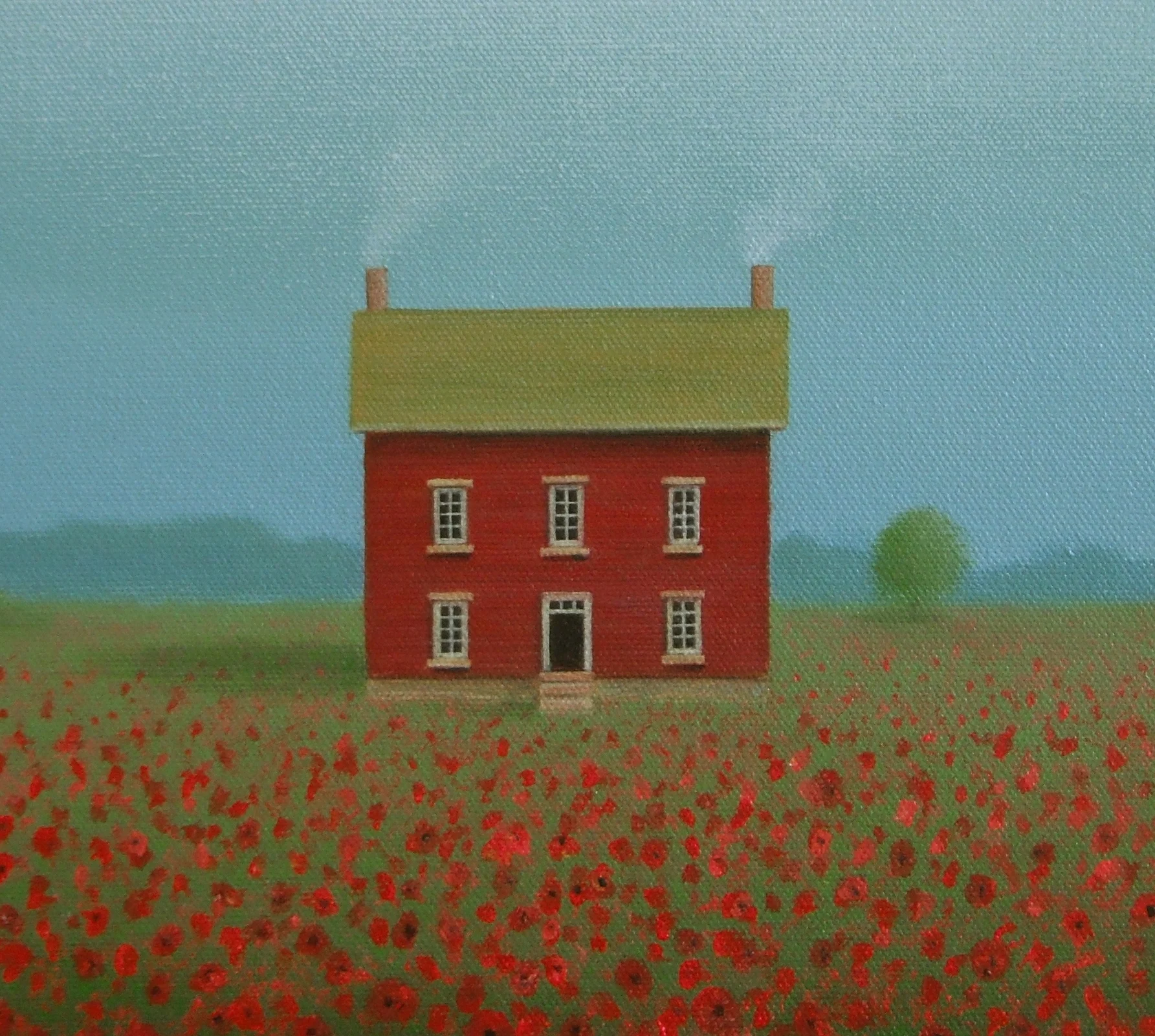 In a Red Poppy Meadow