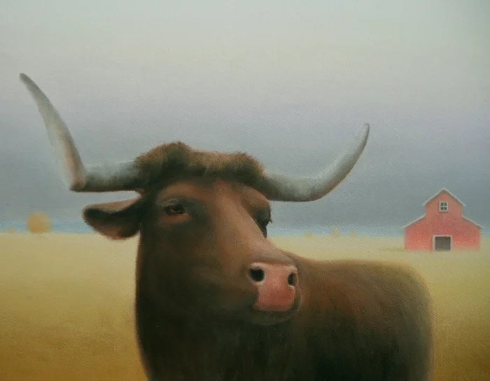 cow steer old barncl 2014 SITE.jpg