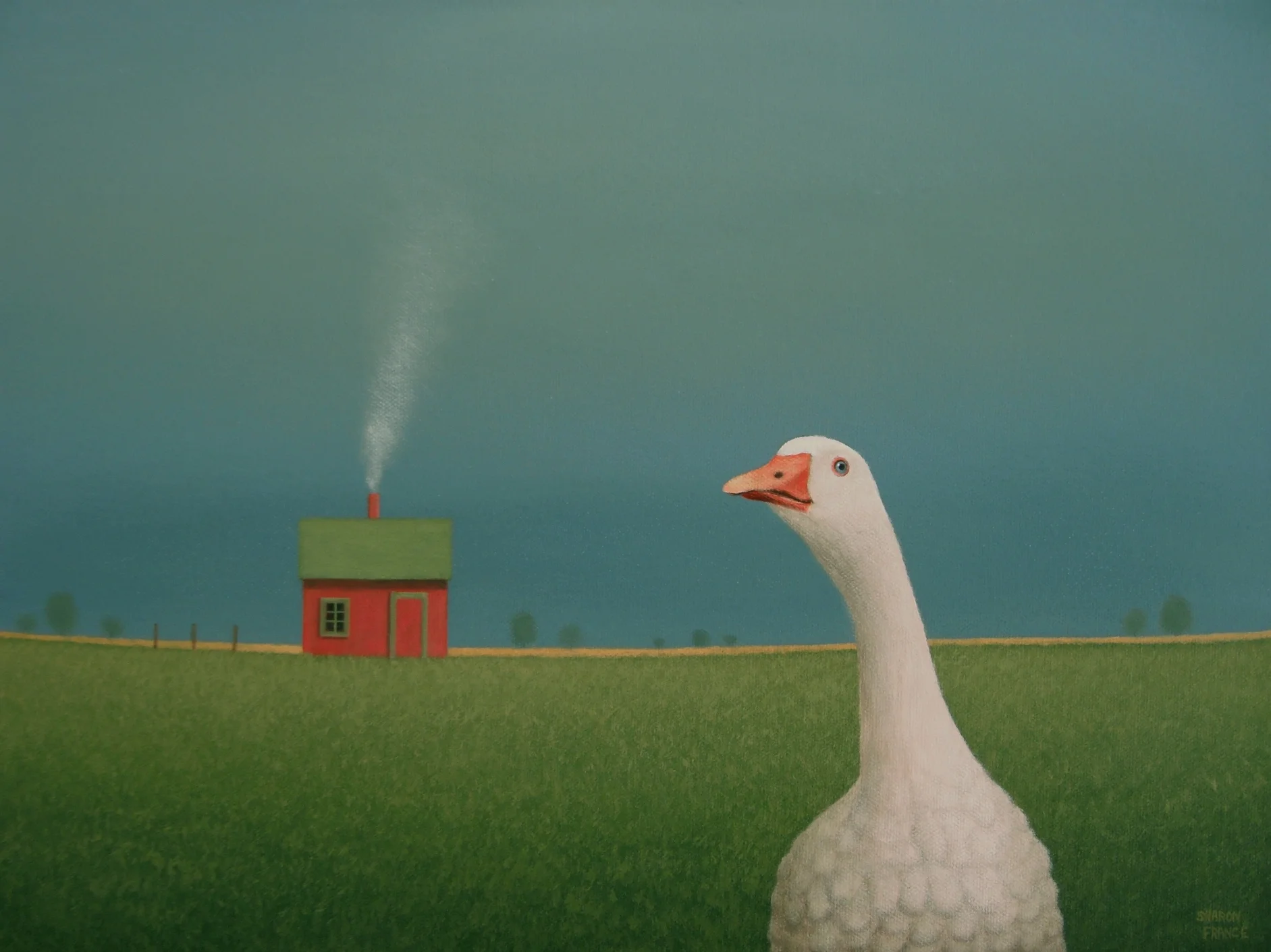 goose shed landscape Sharon France site.jpg