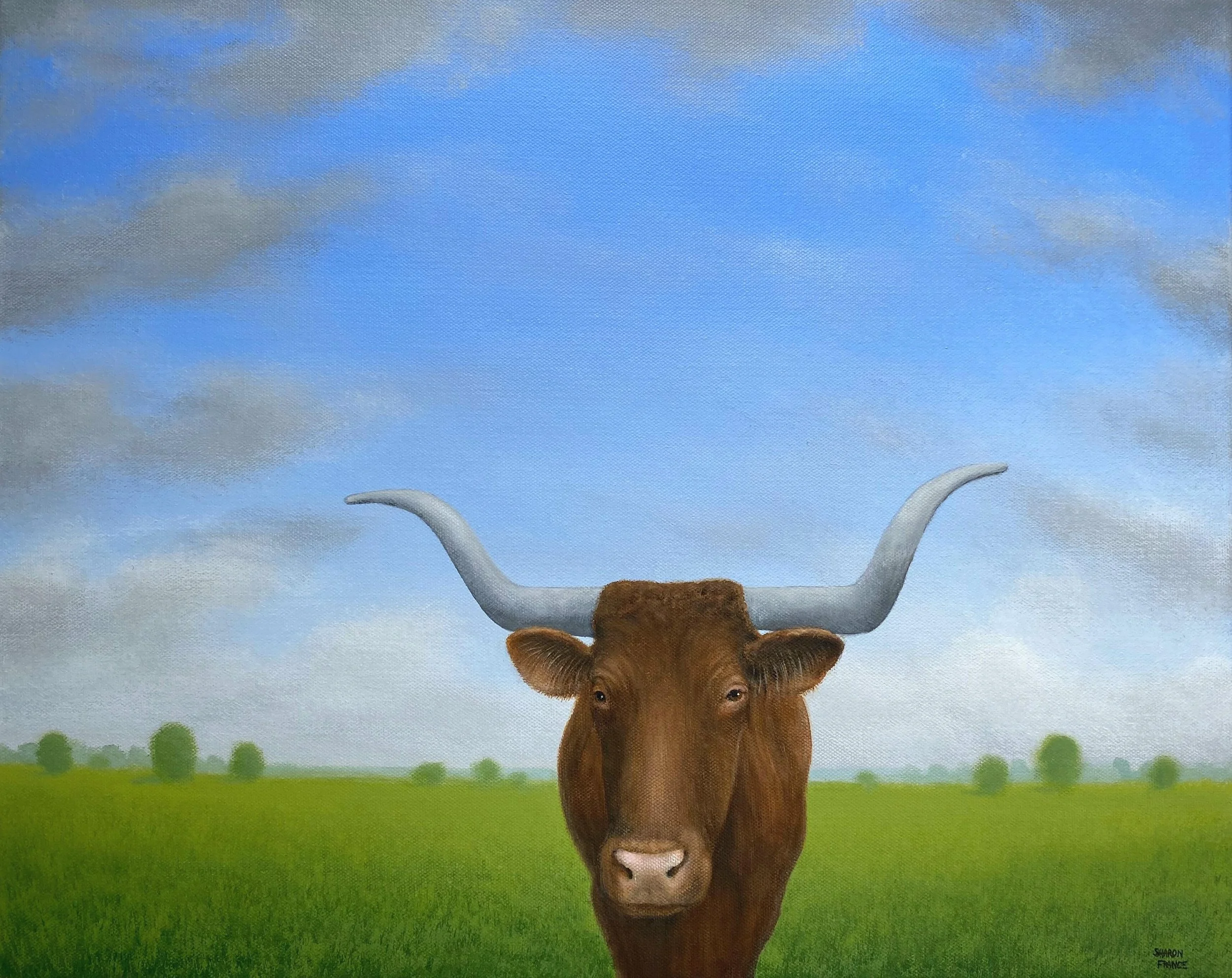 oxen LANDSCAPE AAA full a SHARON FRANCE JUNE 24.jpeg