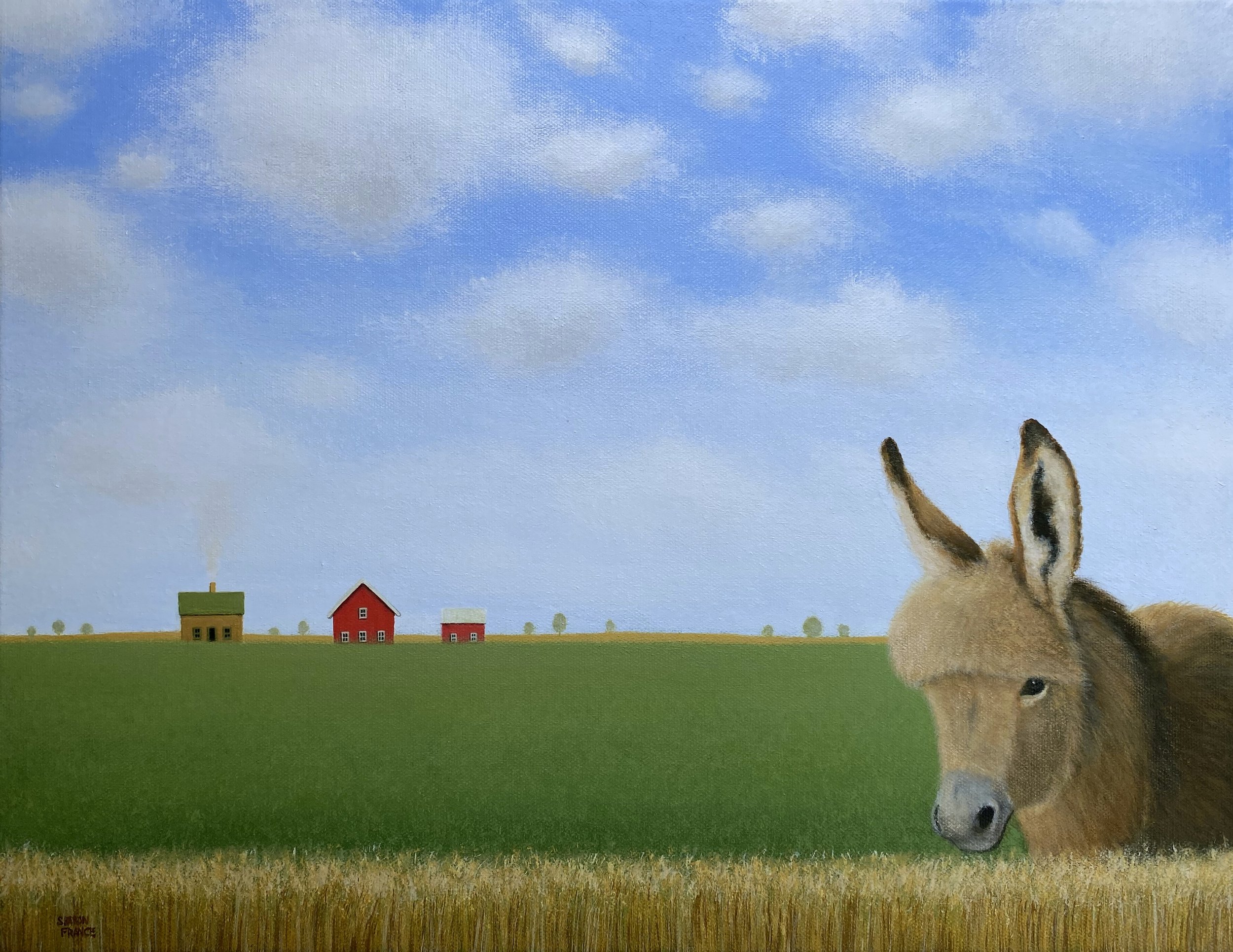 baby donkey Sharon France whole canvas.jpg