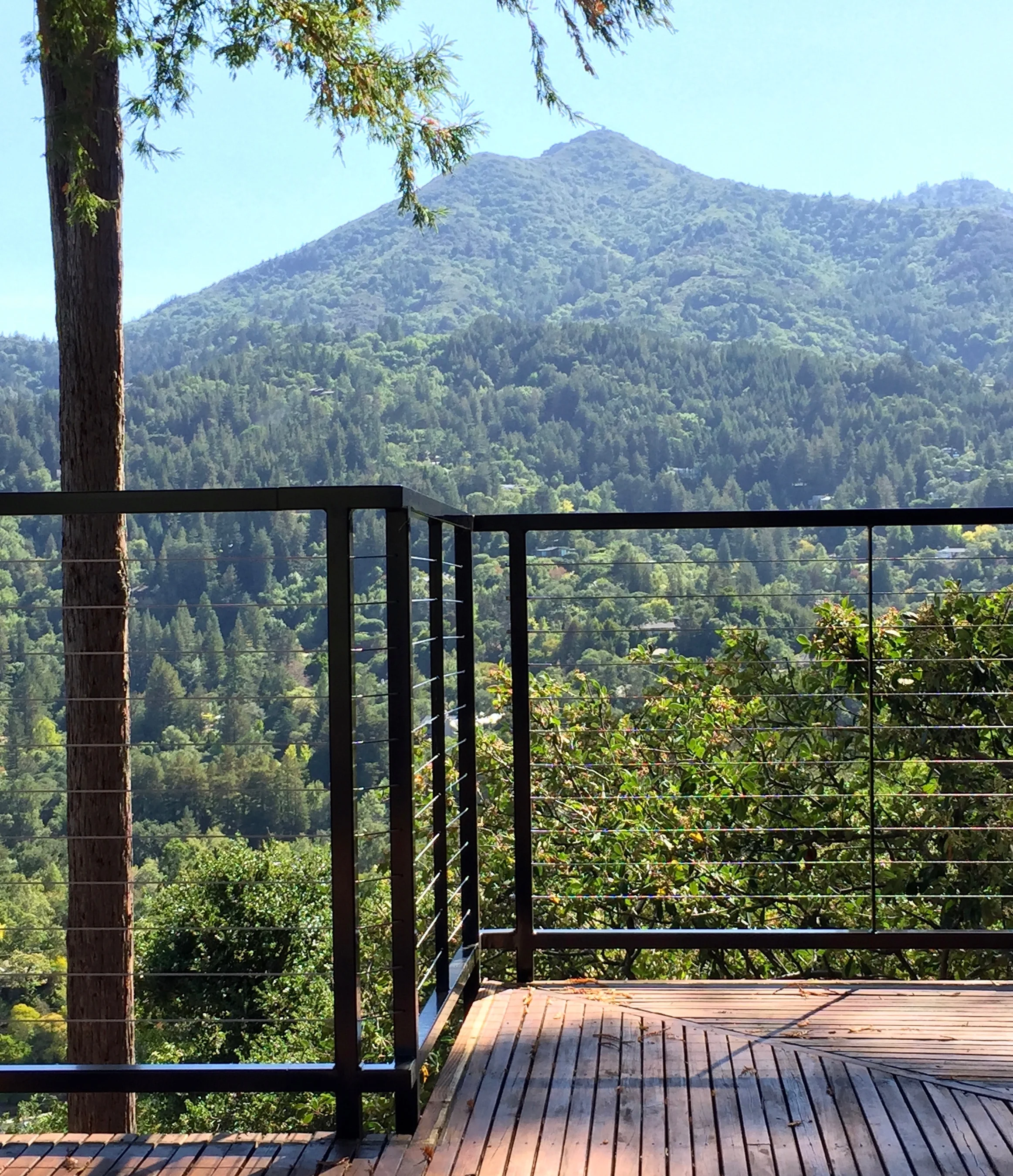 KENTFIELD STEEL FRAME CABLE RAILING- BLACK 2.jpg