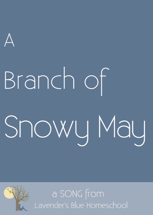 Blog Image - ABranchofSnowyMay.png