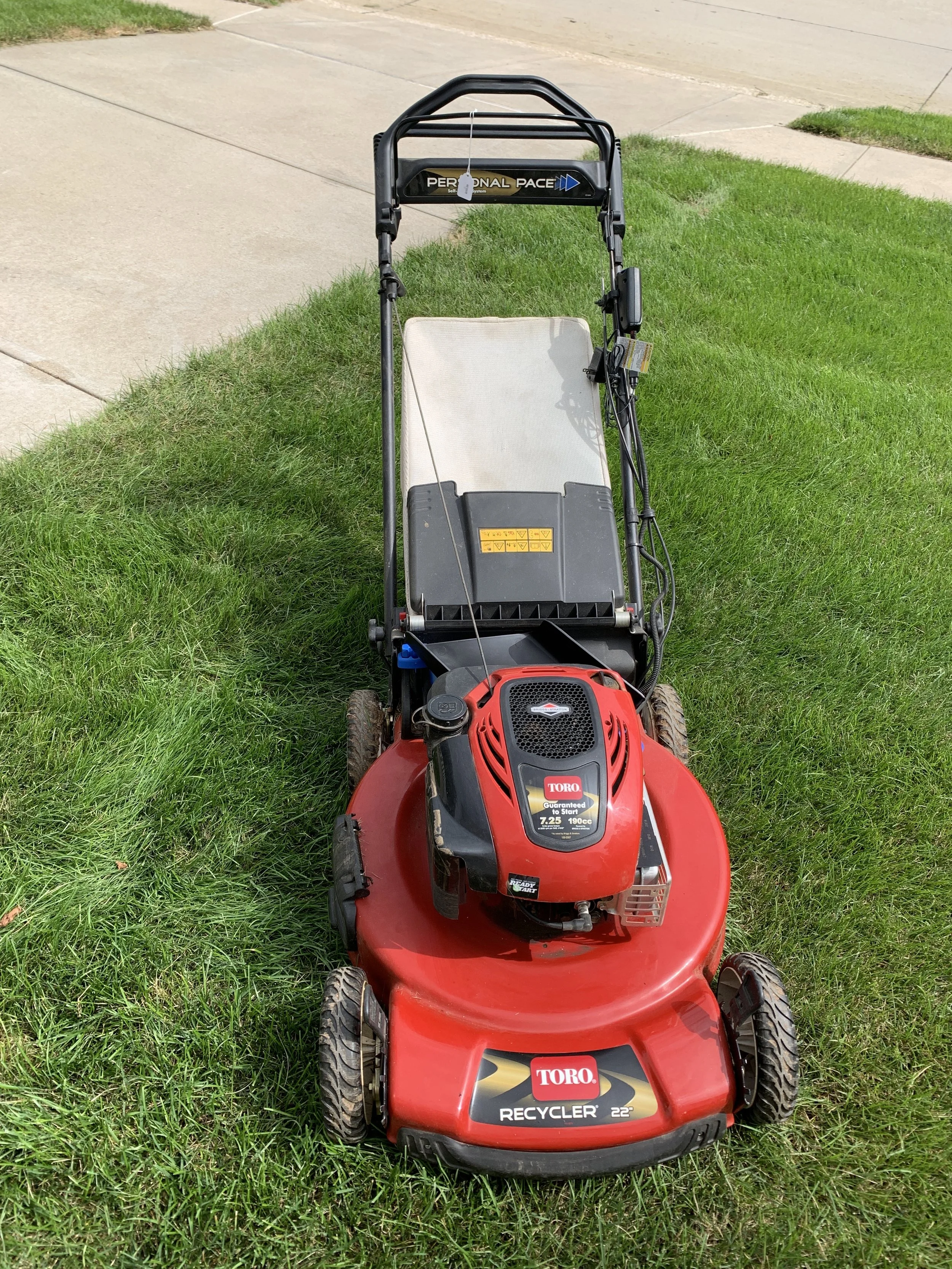 2019-08-17_12-30-32_904.jpeg
