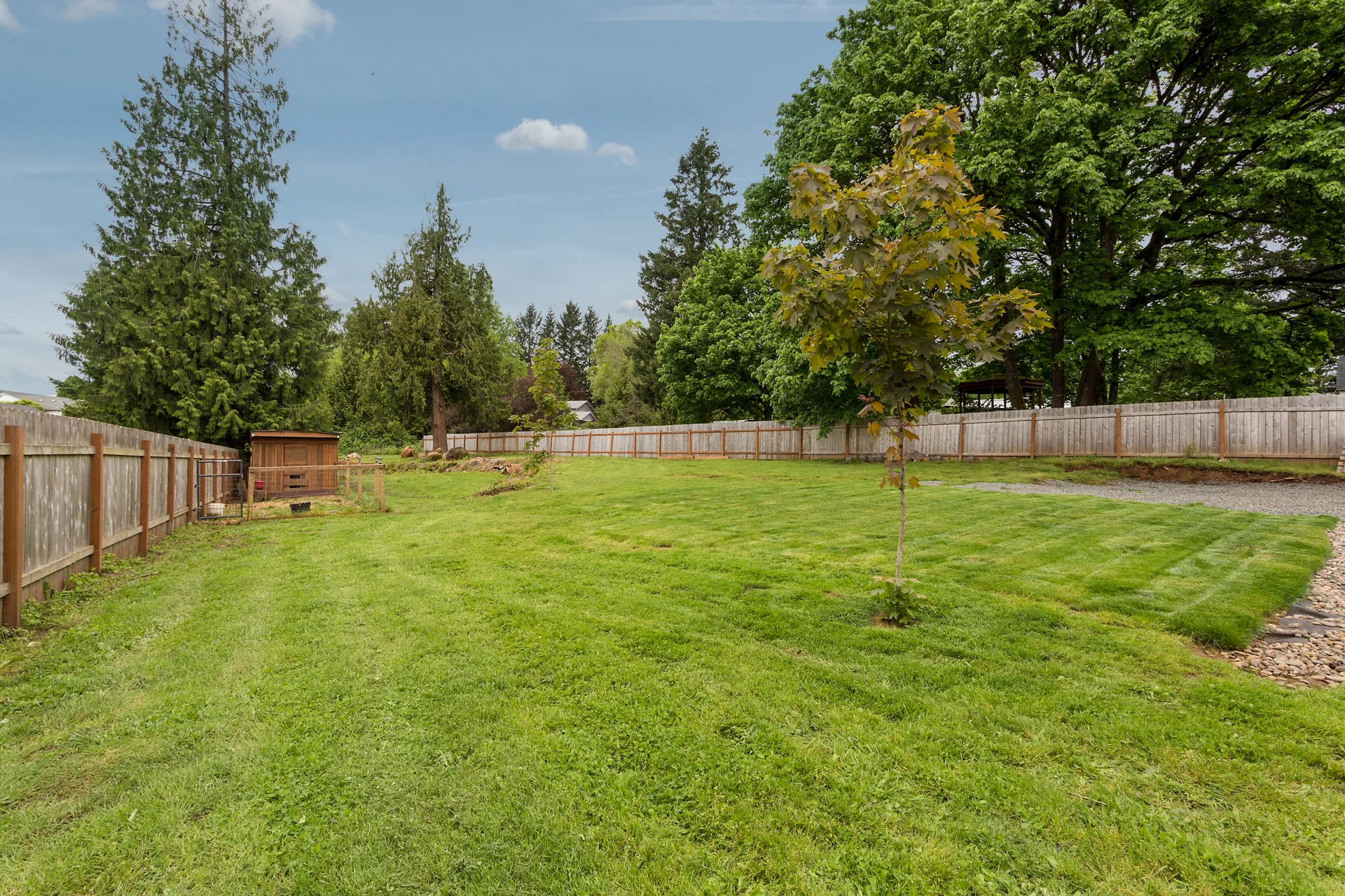 Huge yard with room for garden.