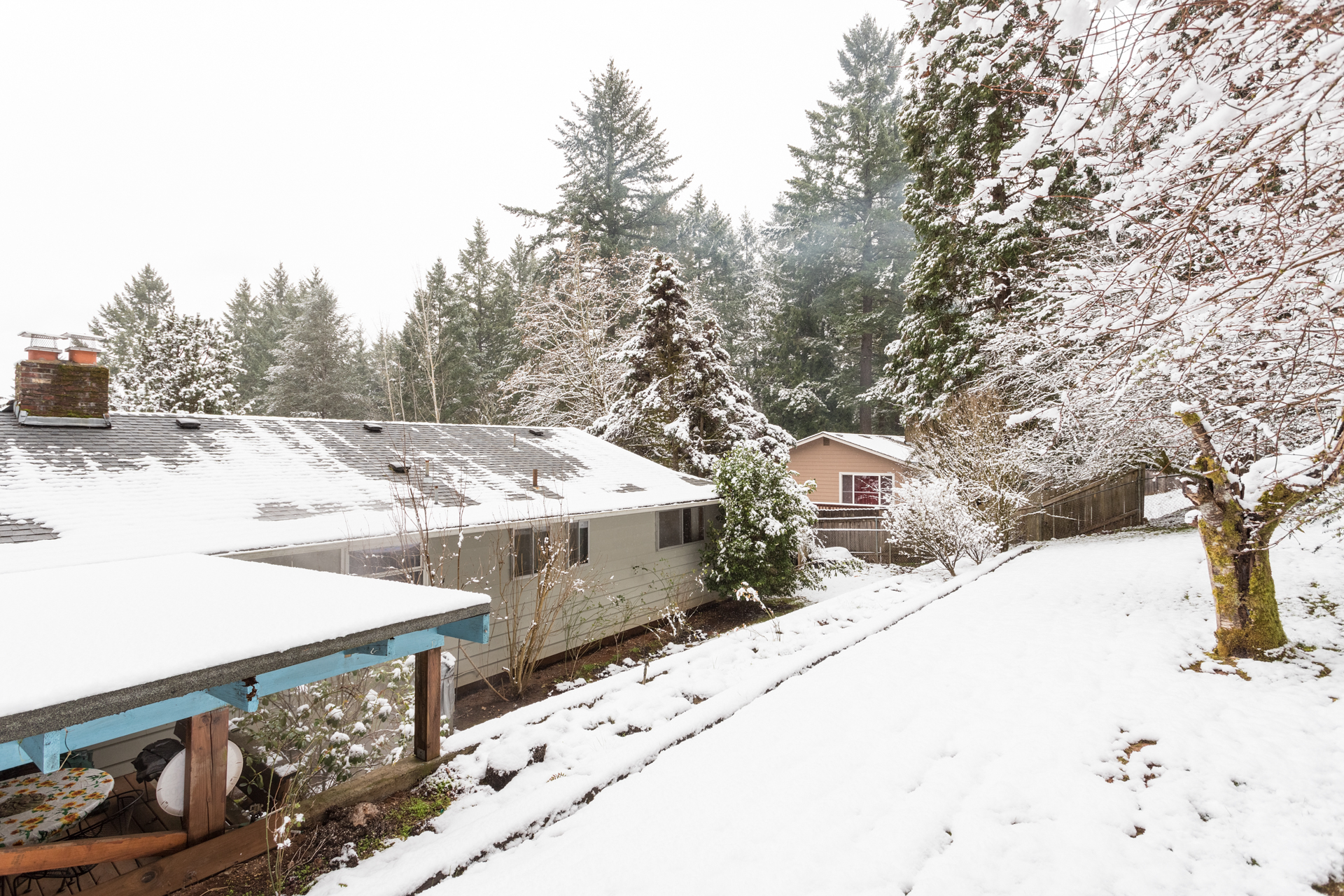 Back Yard Without Falling Snow