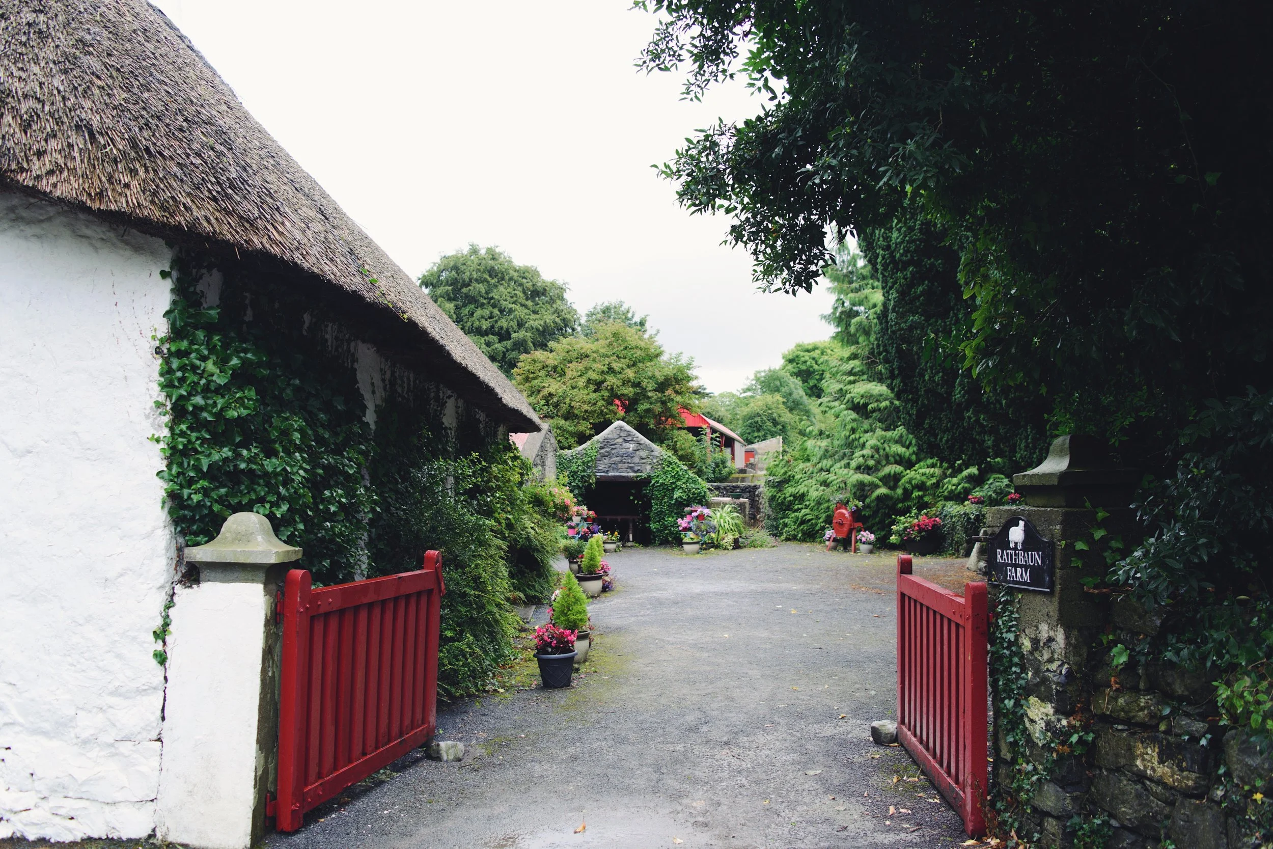 Rathbaun Farm, Galway — Linda Yin